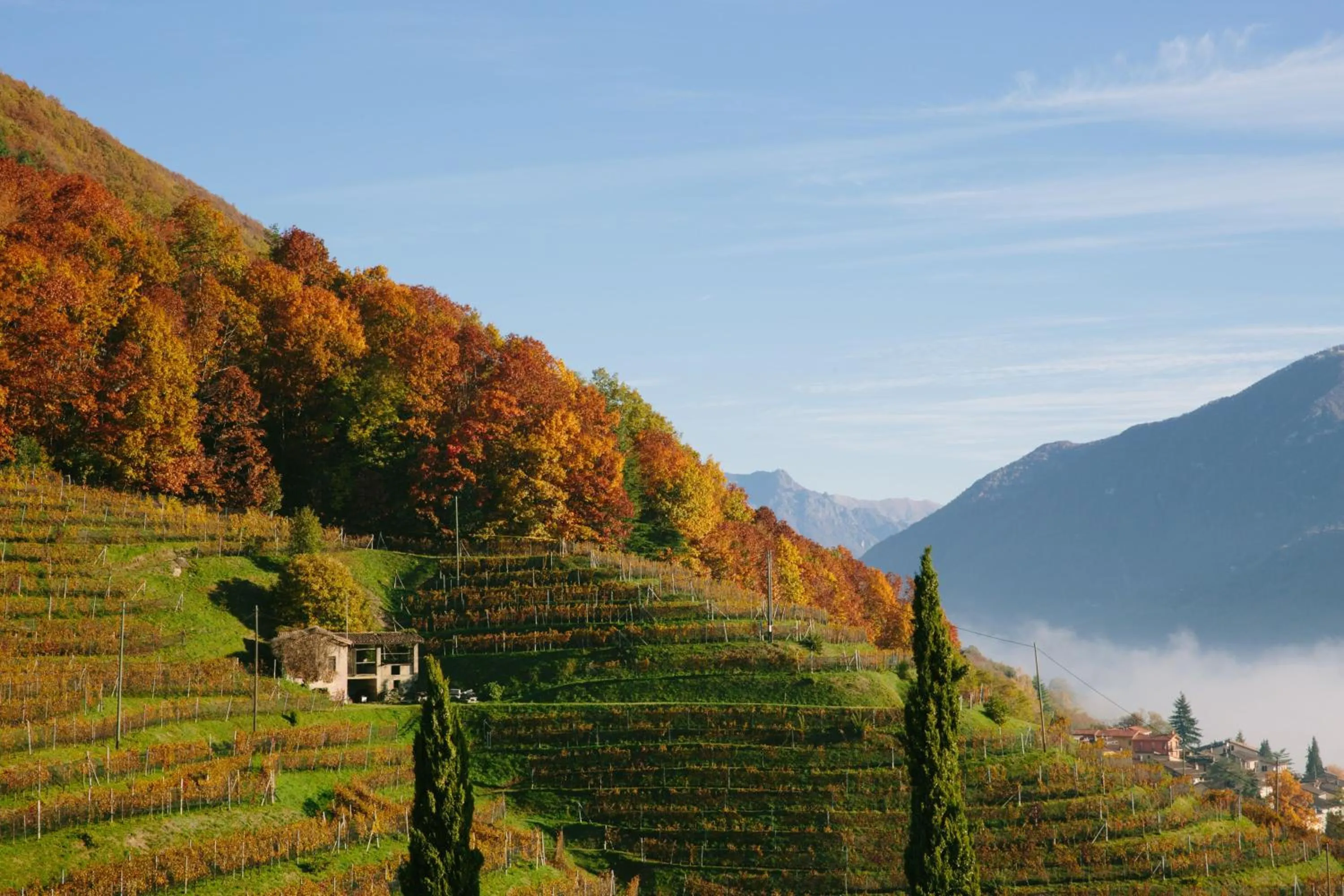 View (from property/room) in Relais Castello di Morcote
