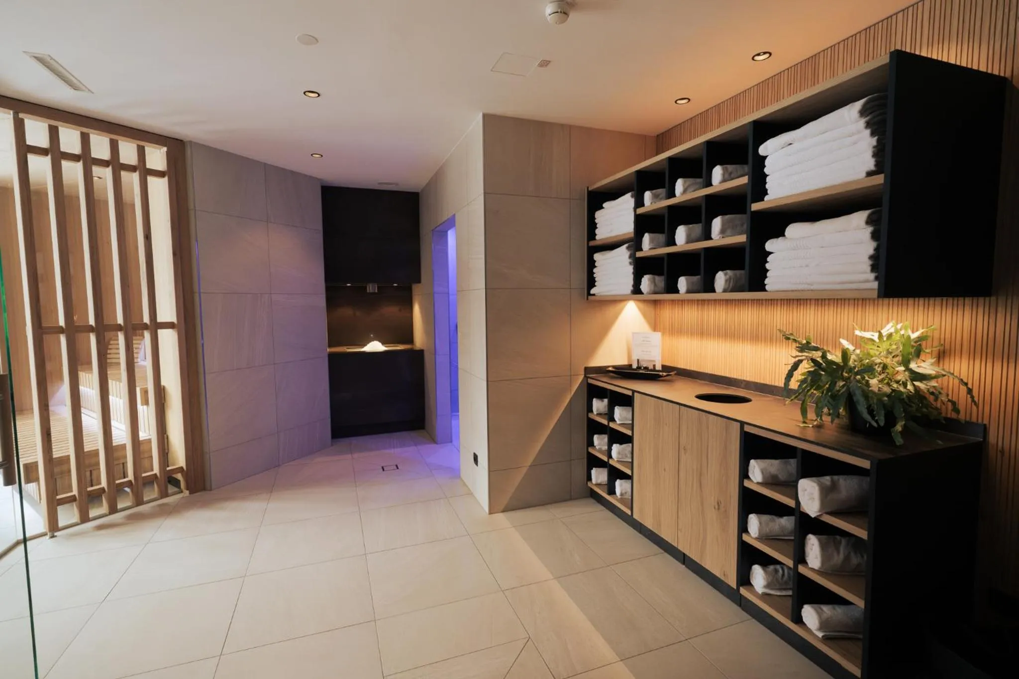 Spa and wellness centre/facilities in Hotel Weisseespitze