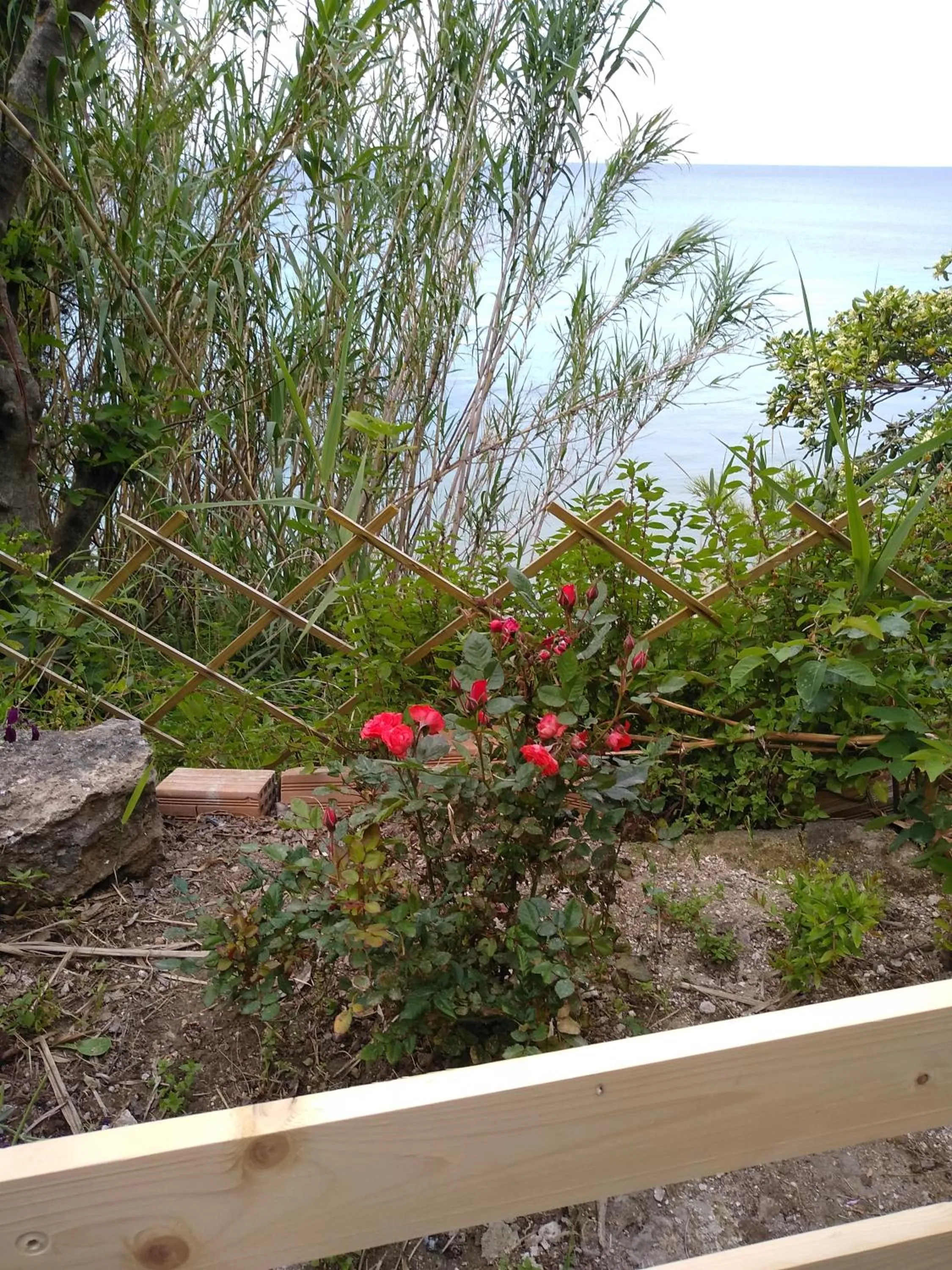 Balcony/Terrace in mare di zante "mare di levante"