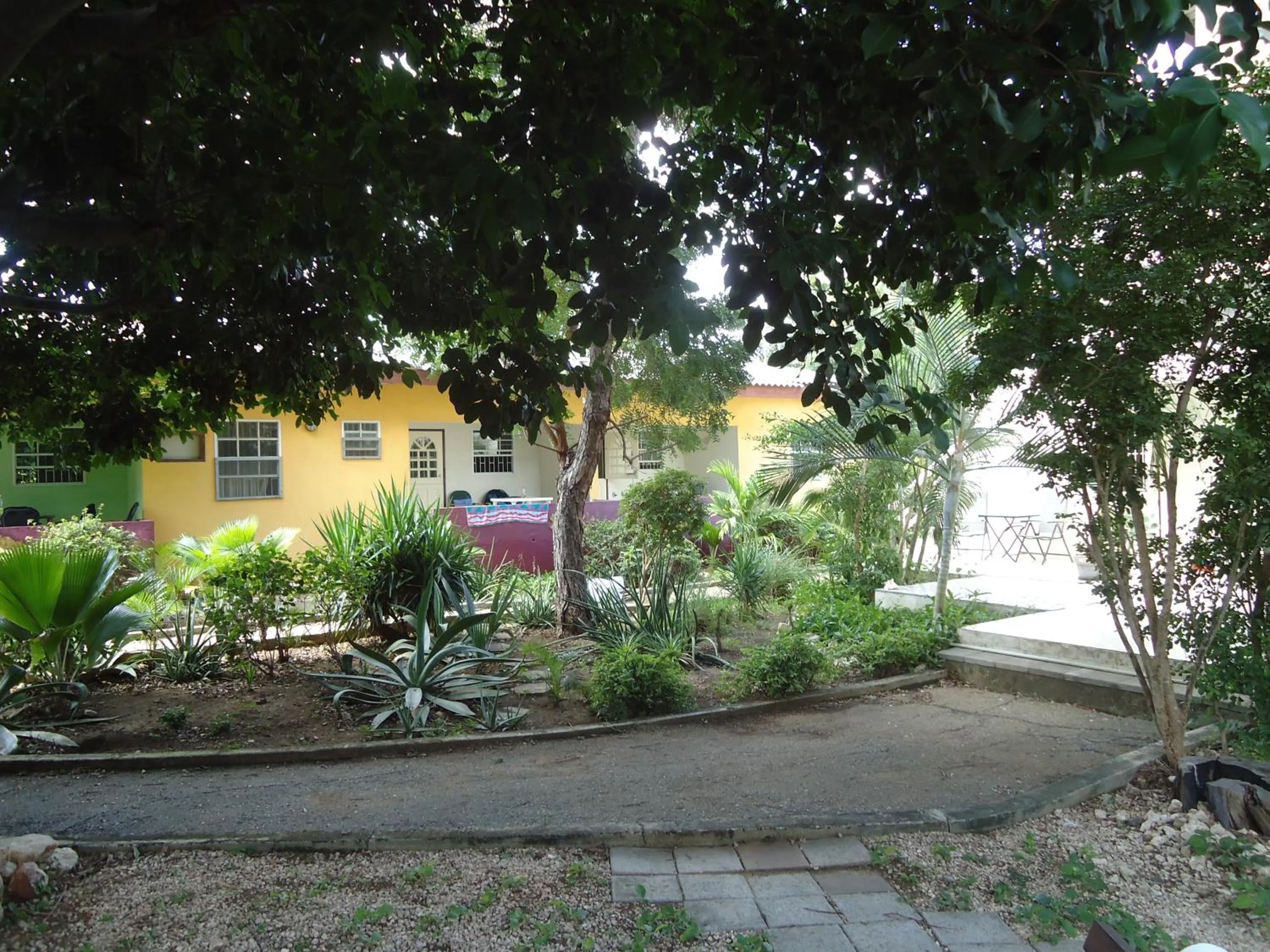 Day in Happy Turtle Apartments