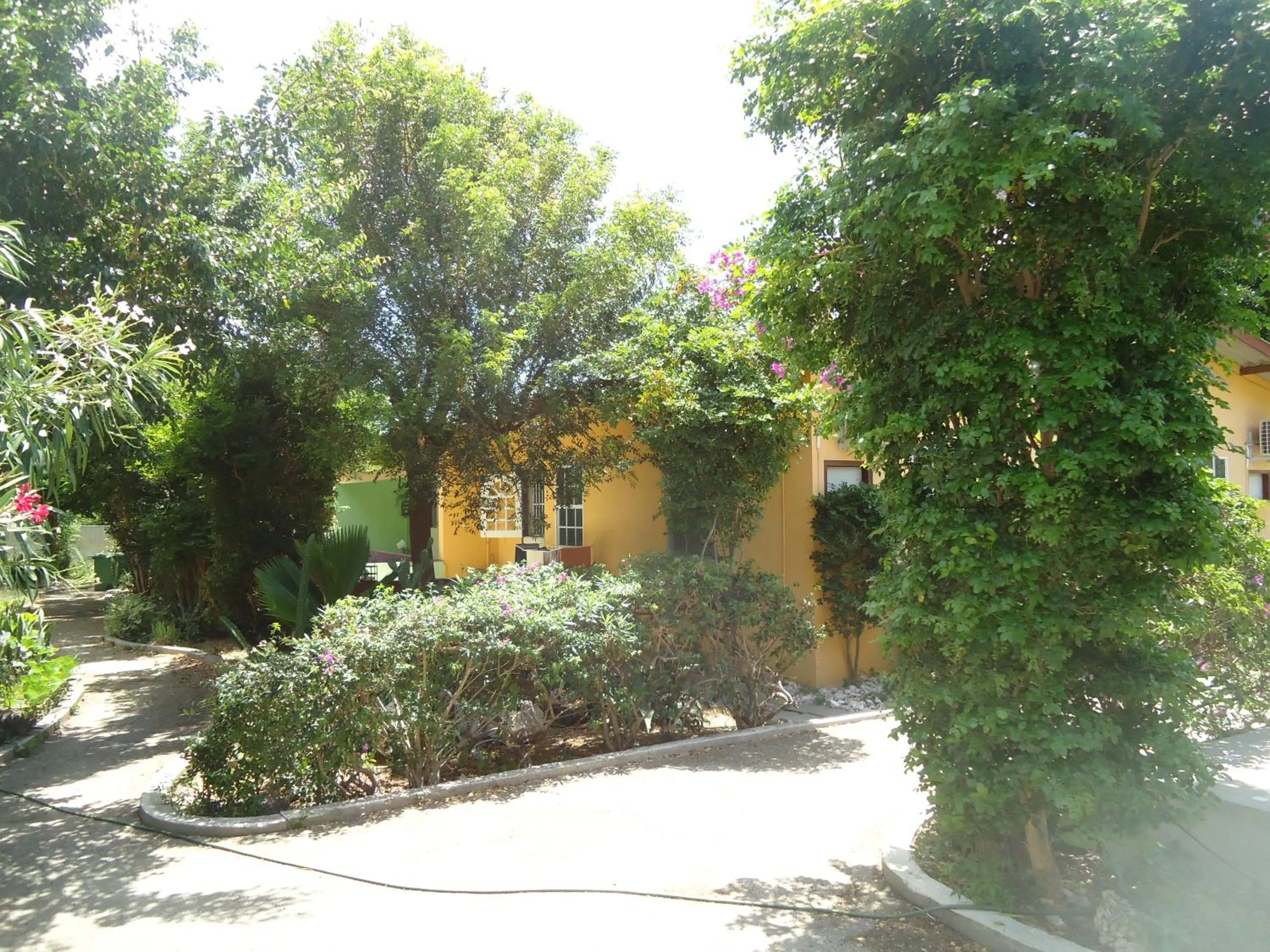 Day in Happy Turtle Apartments