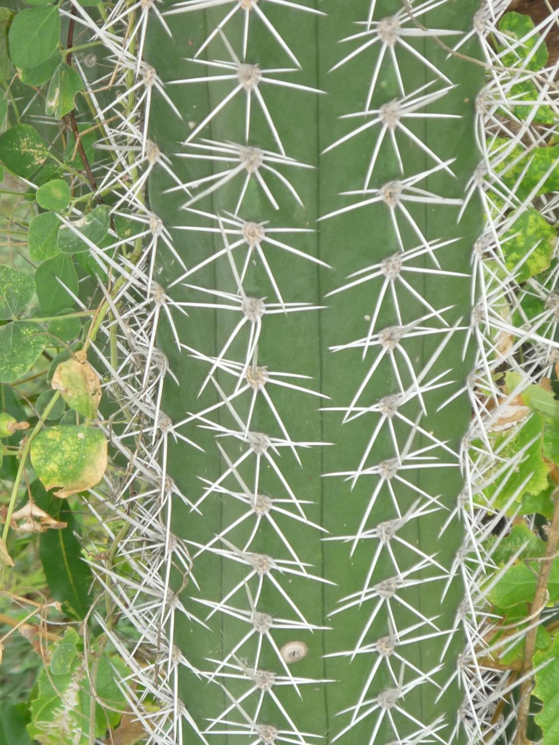 Day in Happy Turtle Apartments