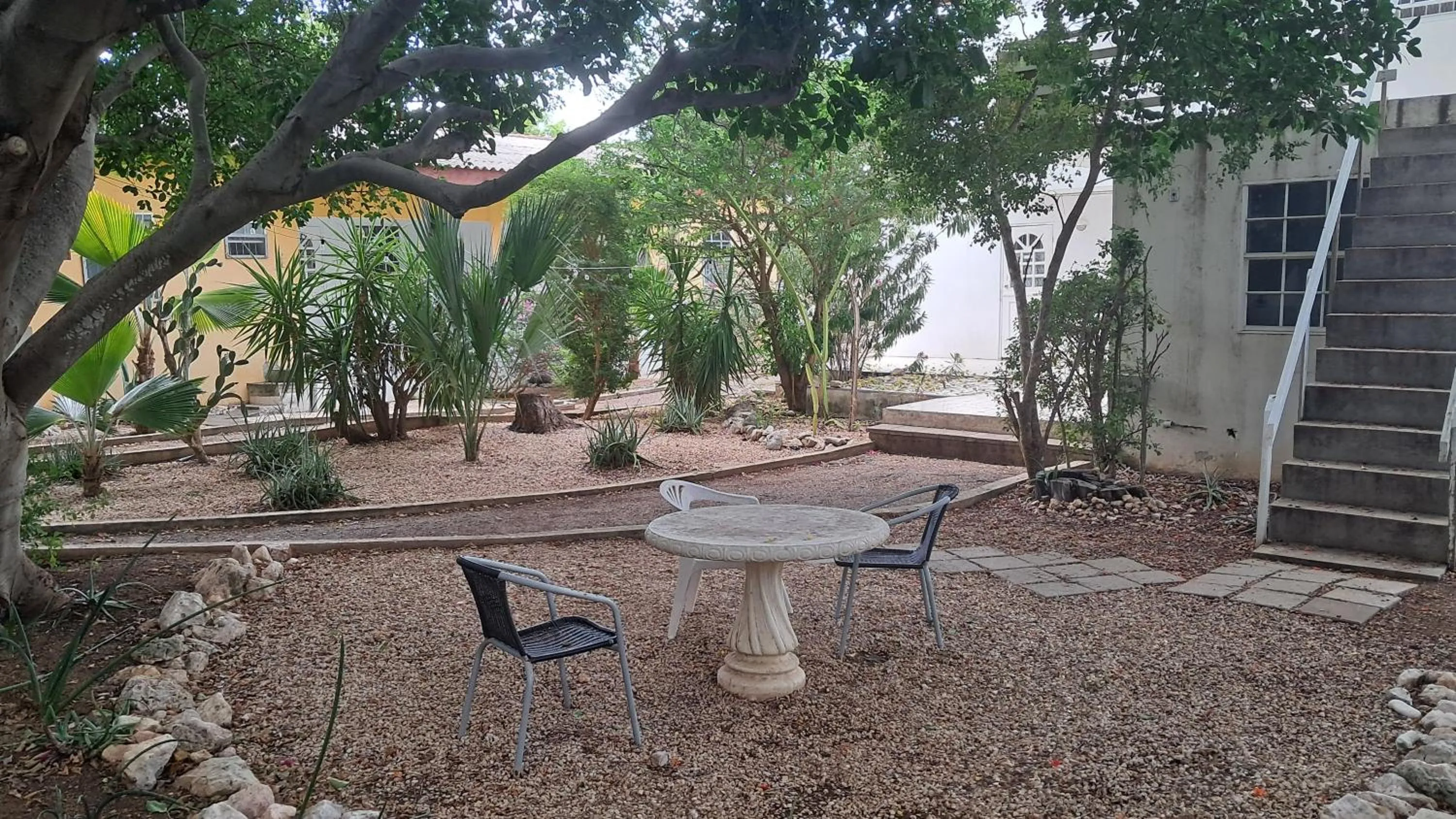 Garden in Happy Turtle Apartments