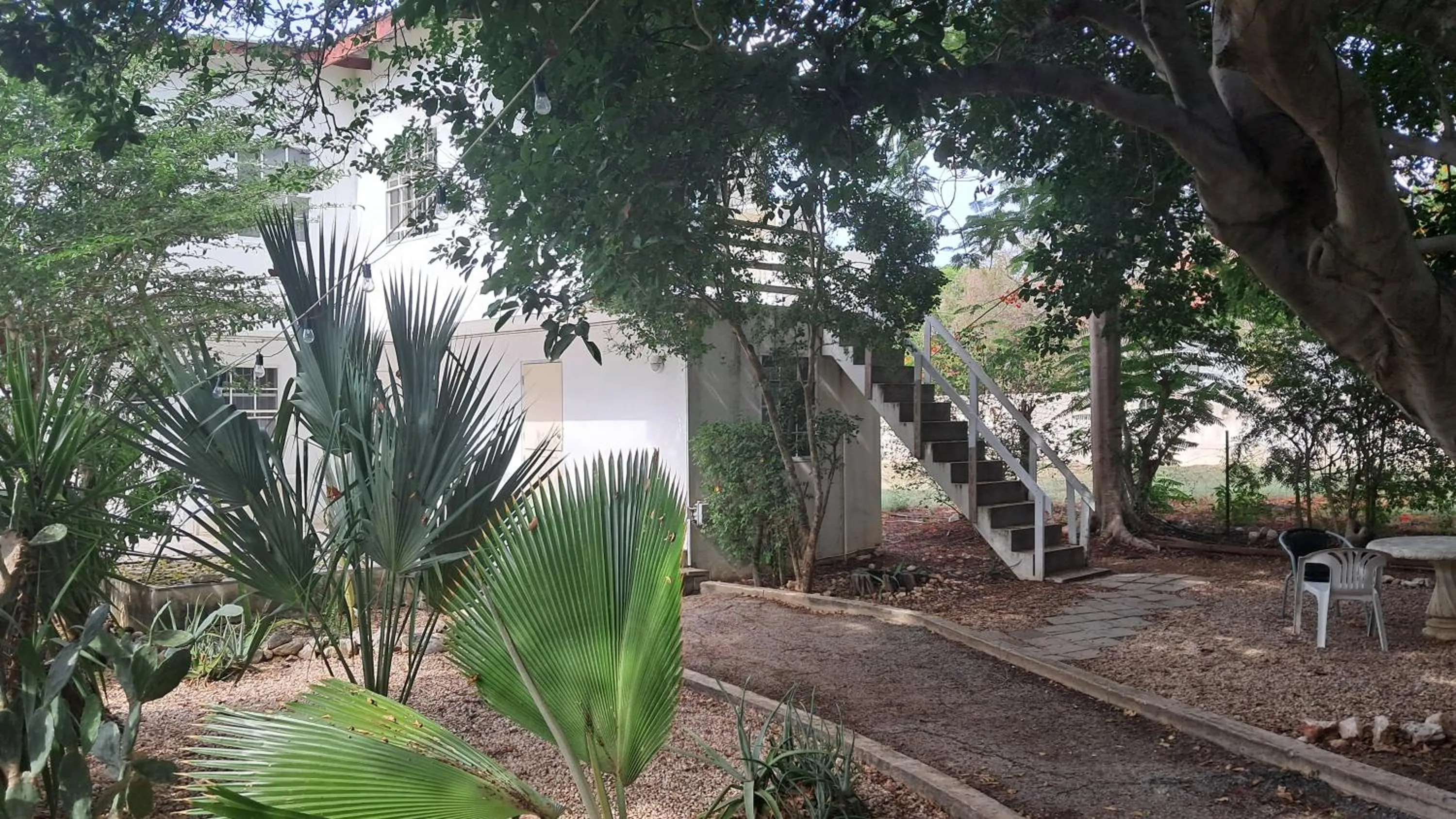 Garden in Happy Turtle Apartments