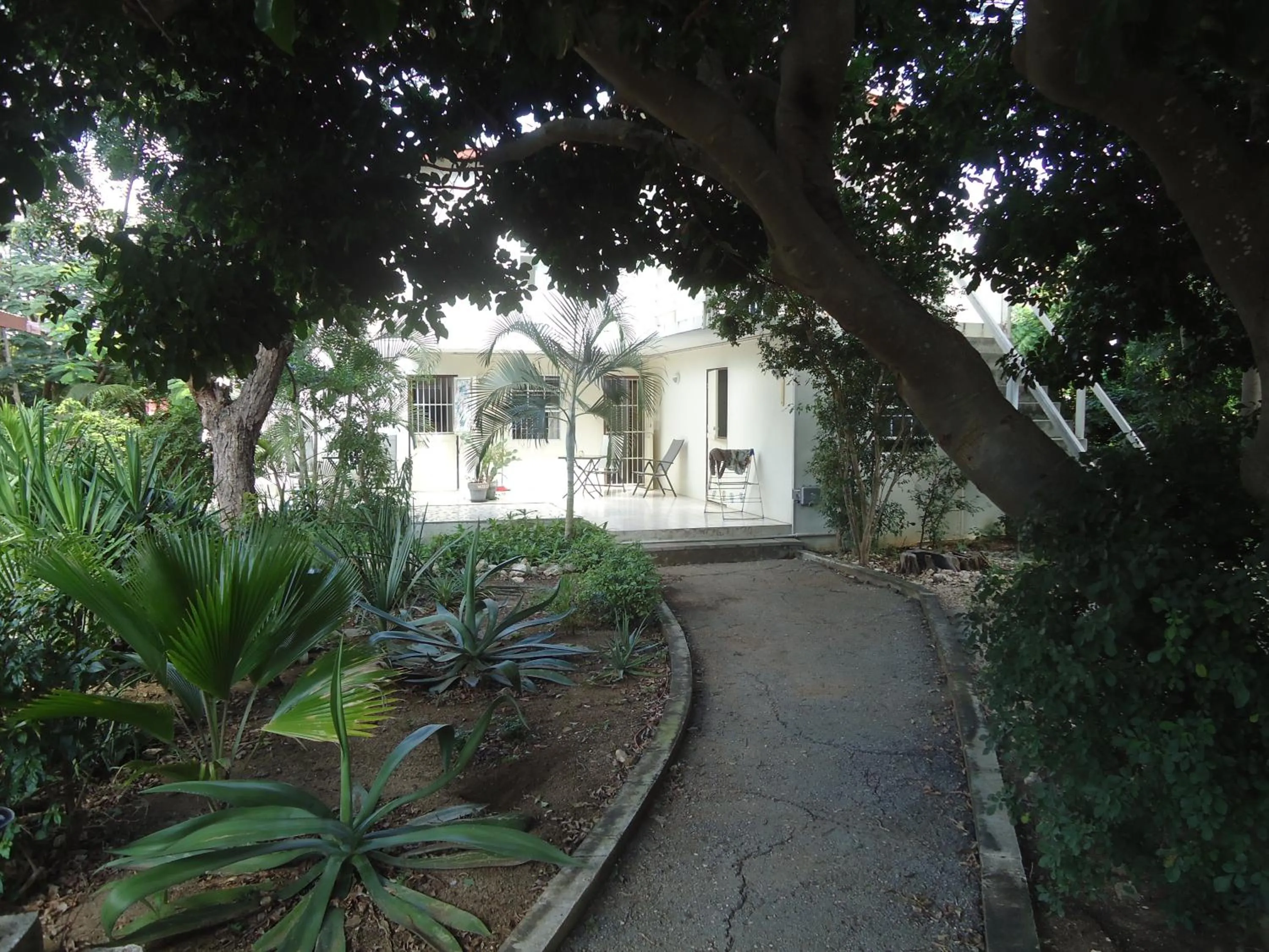 Day in Happy Turtle Apartments