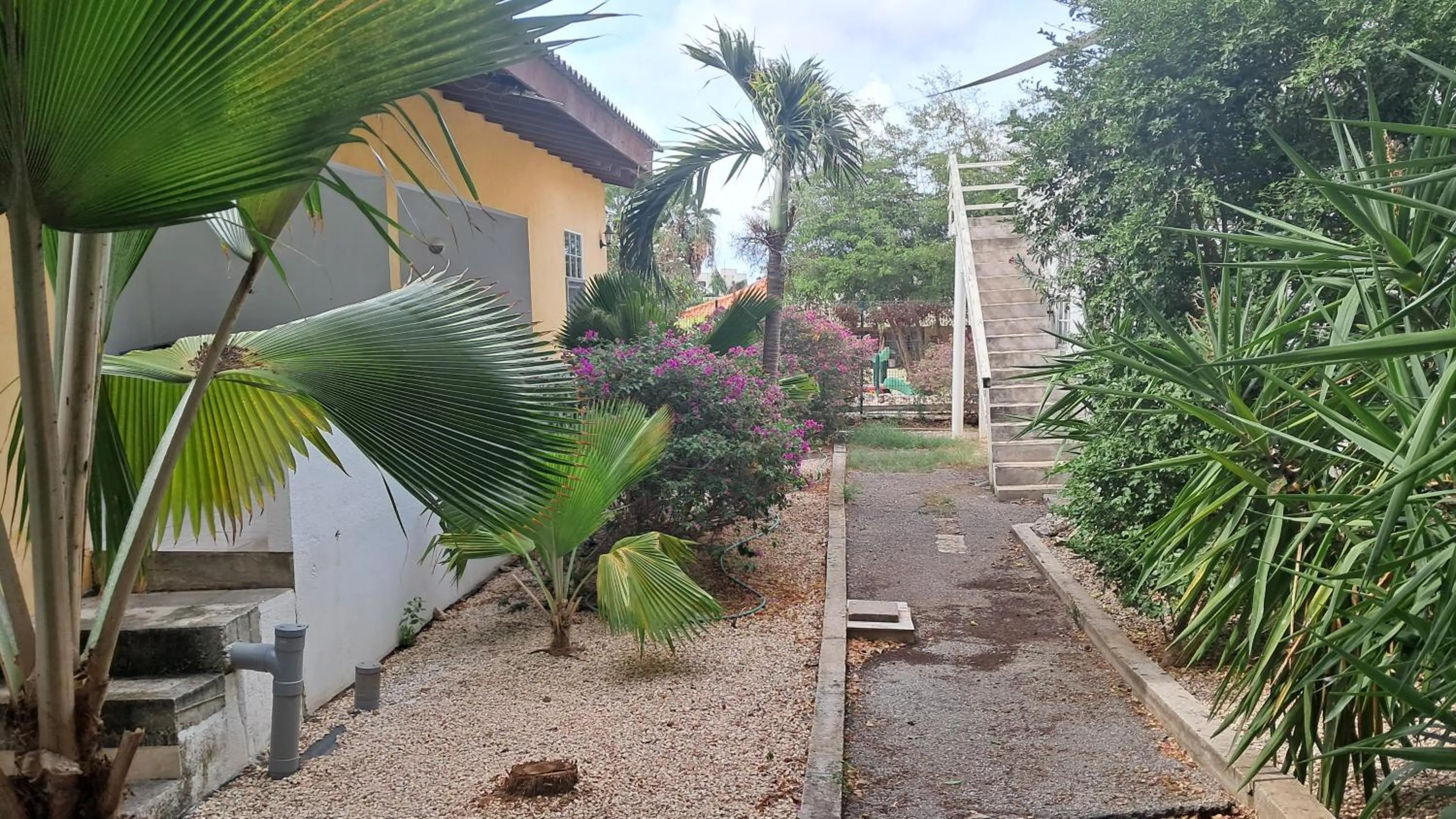 Garden in Happy Turtle Apartments