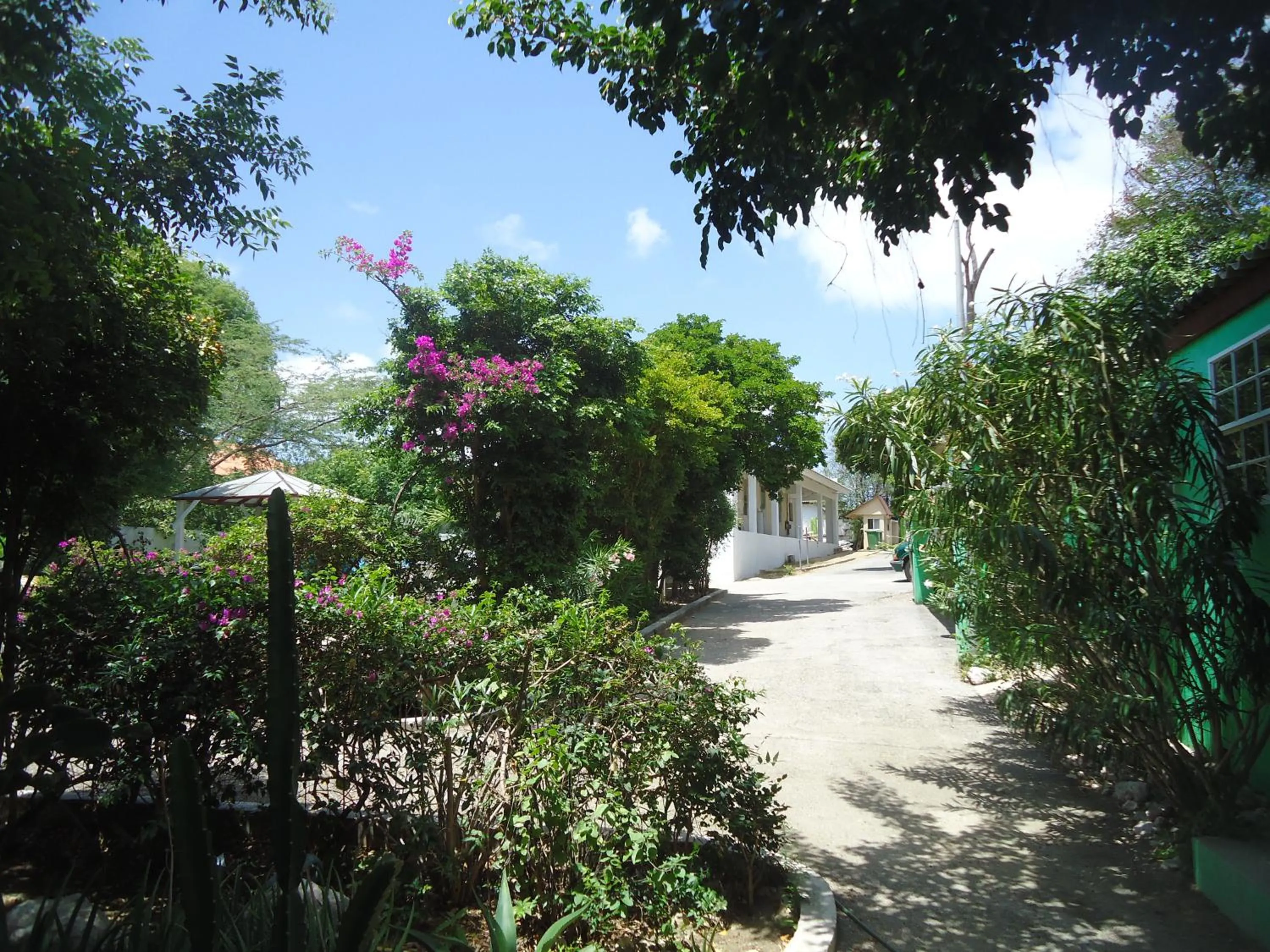 Day in Happy Turtle Apartments