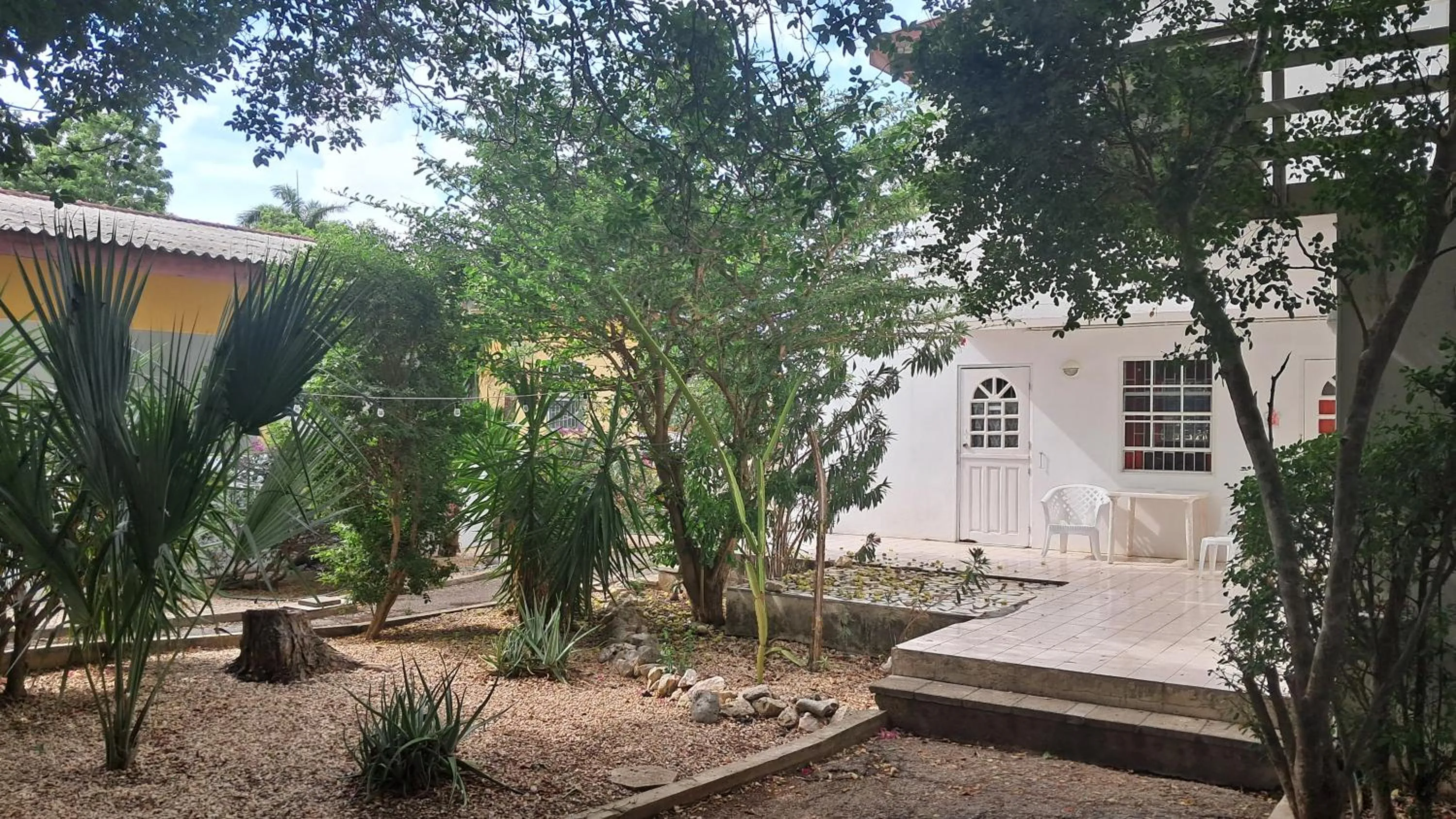 Garden in Happy Turtle Apartments