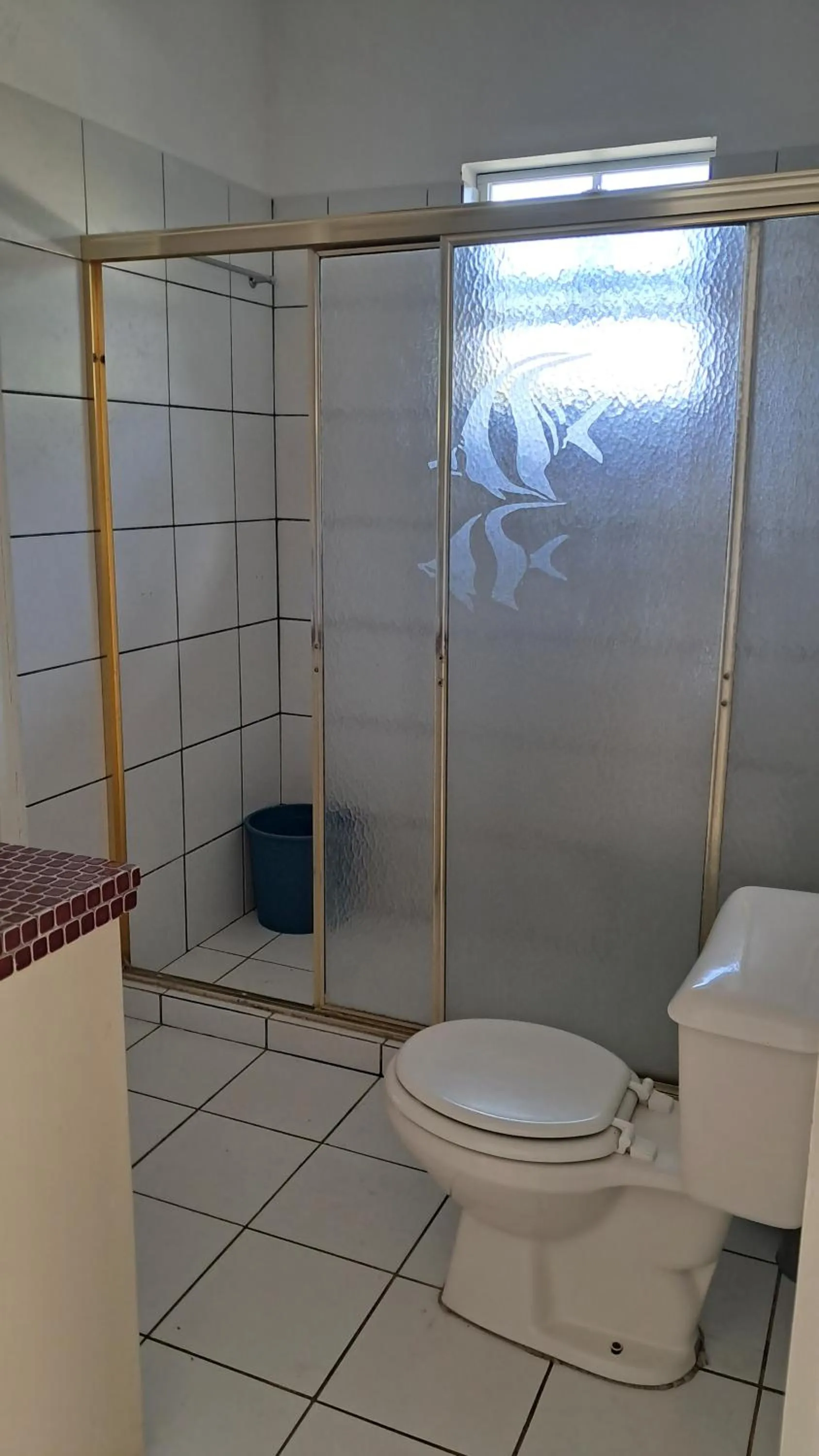 Happy Turtle Apartments