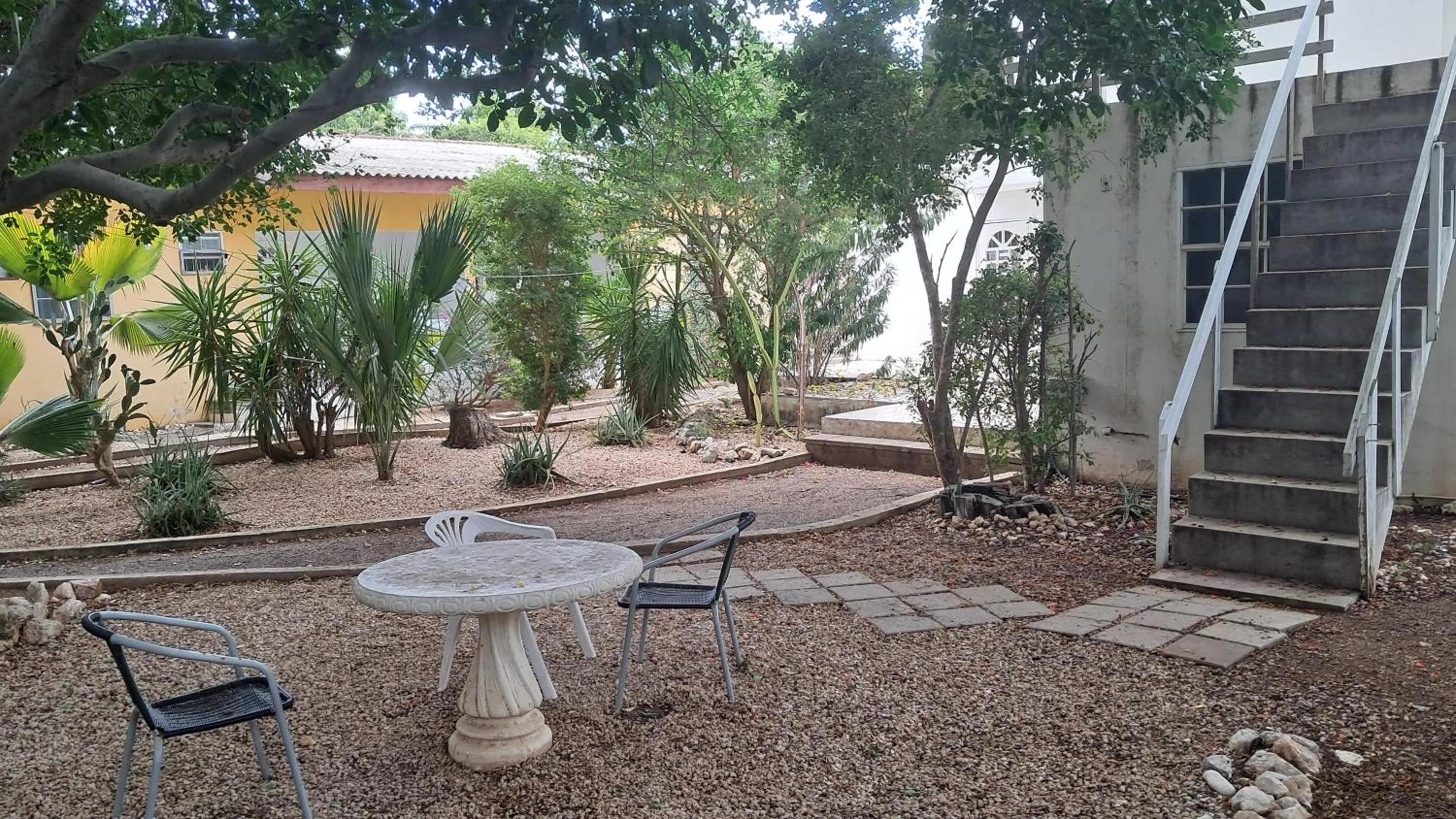 Garden view in Happy Turtle Apartments