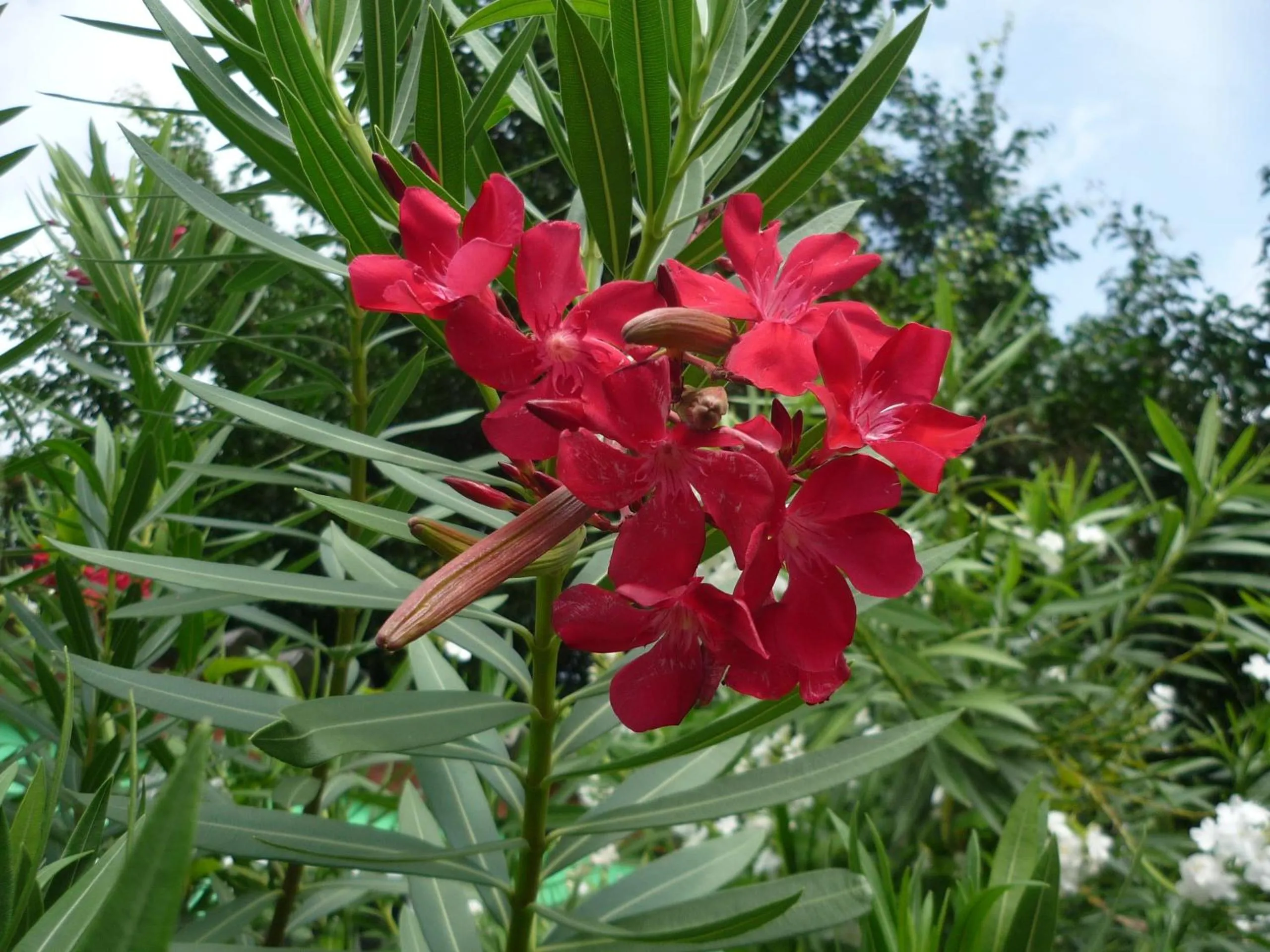 Day in Happy Turtle Apartments