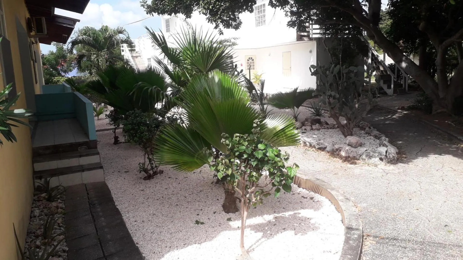 Garden in Happy Turtle Apartments