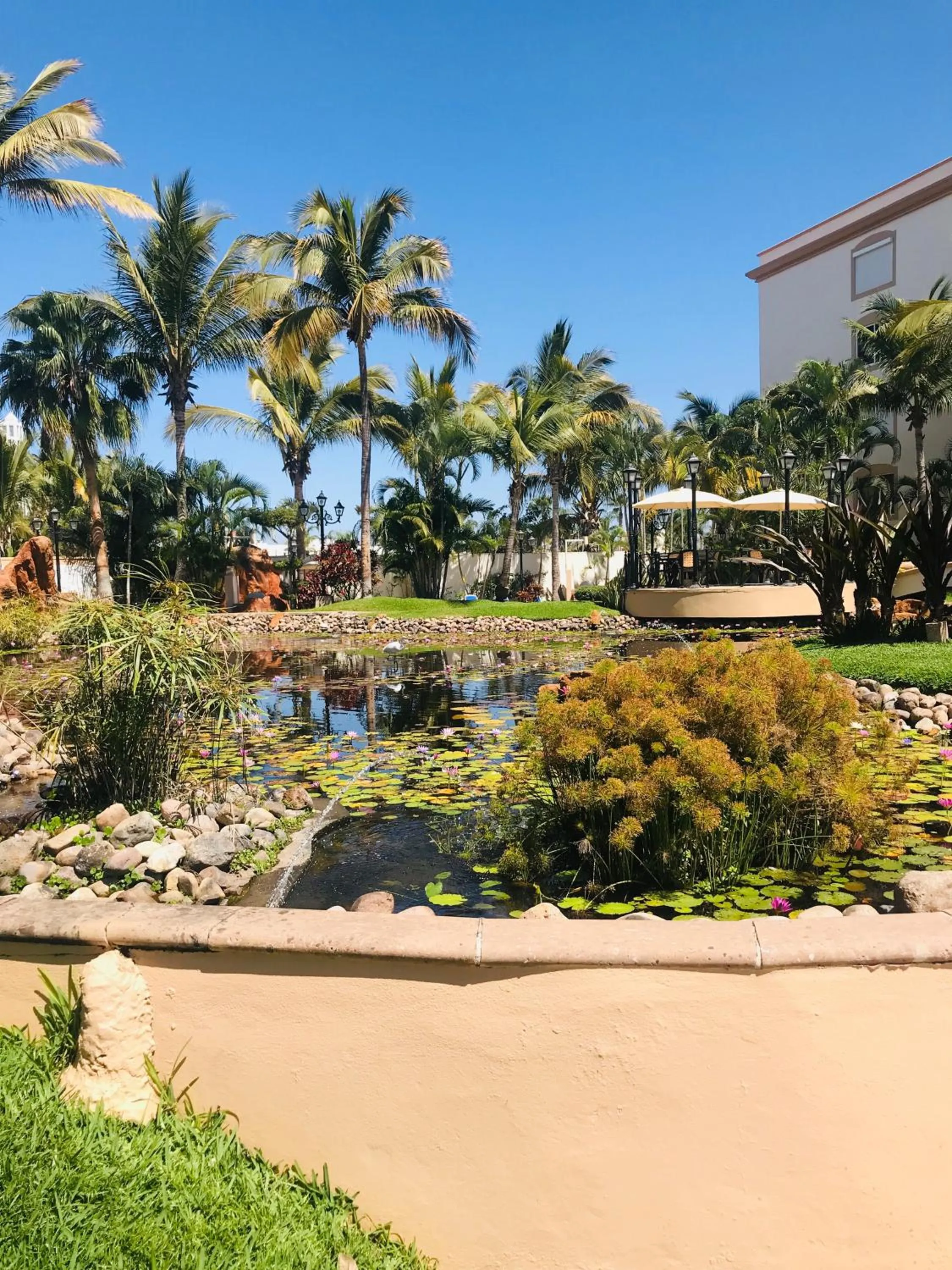 Garden in Costa Bonita Resort