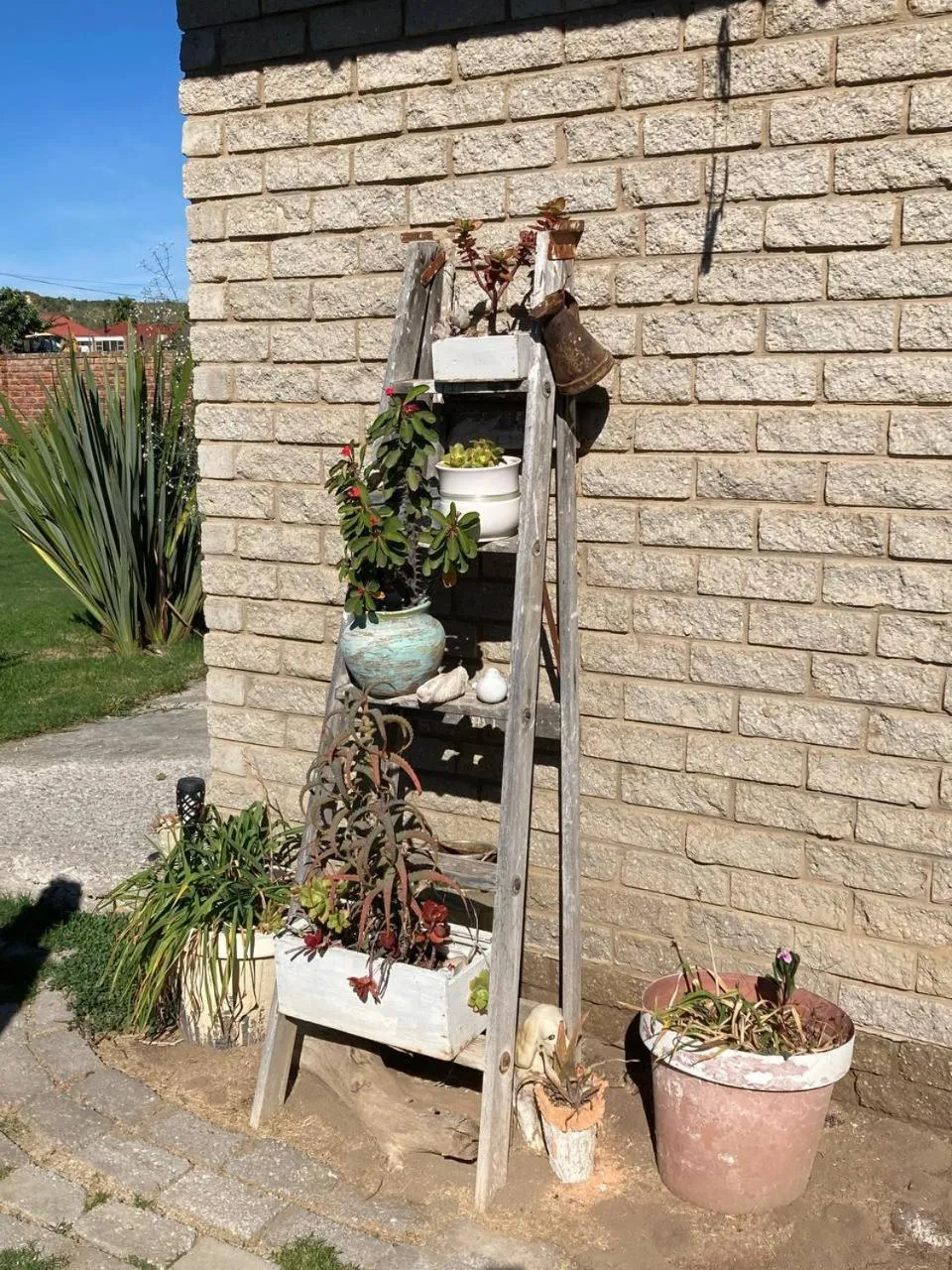 57 On Wellington Accommodation