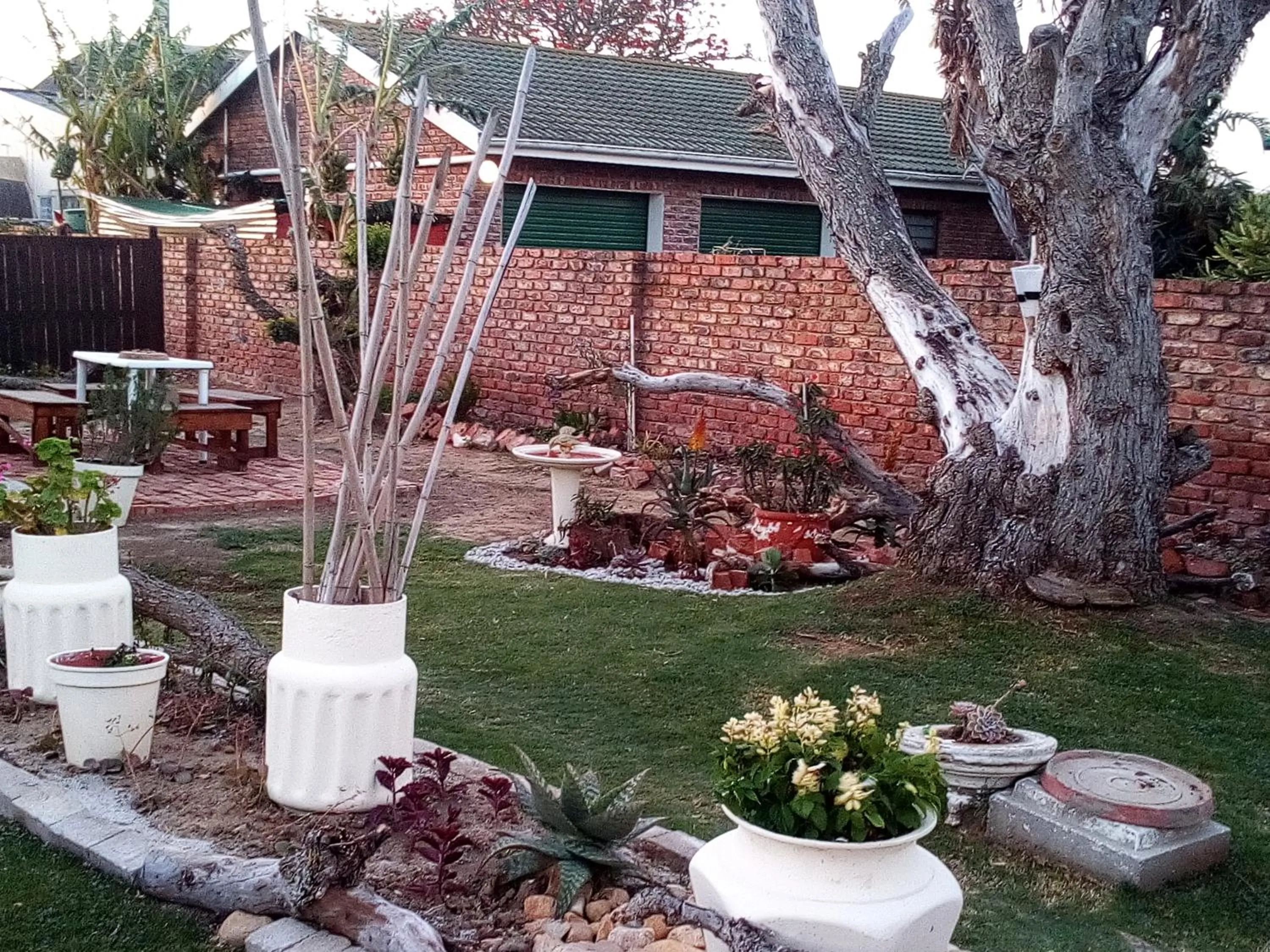 Garden view in 57 On Wellington Accommodation