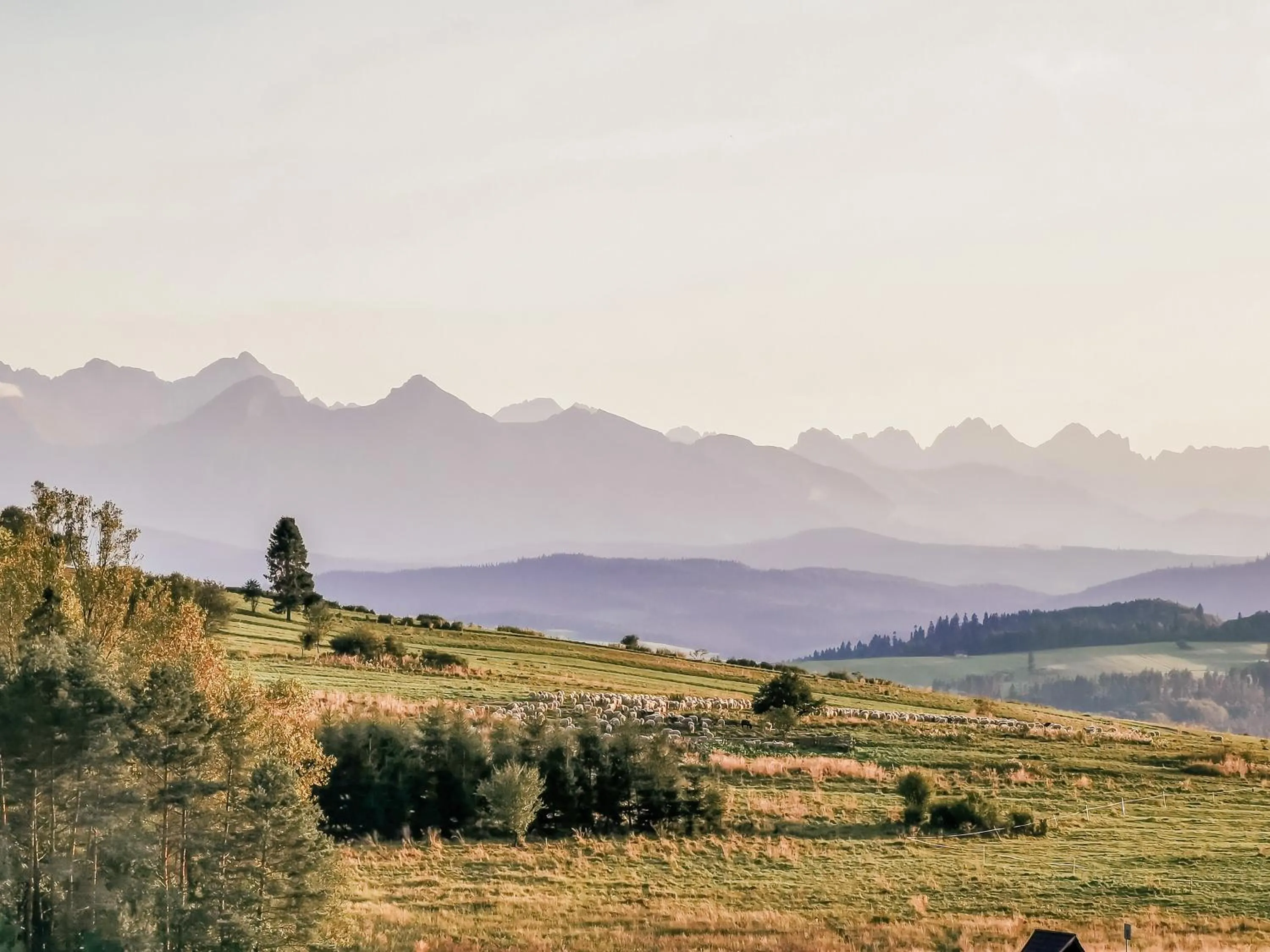 Natural landscape in Domki Pod Wulkanem