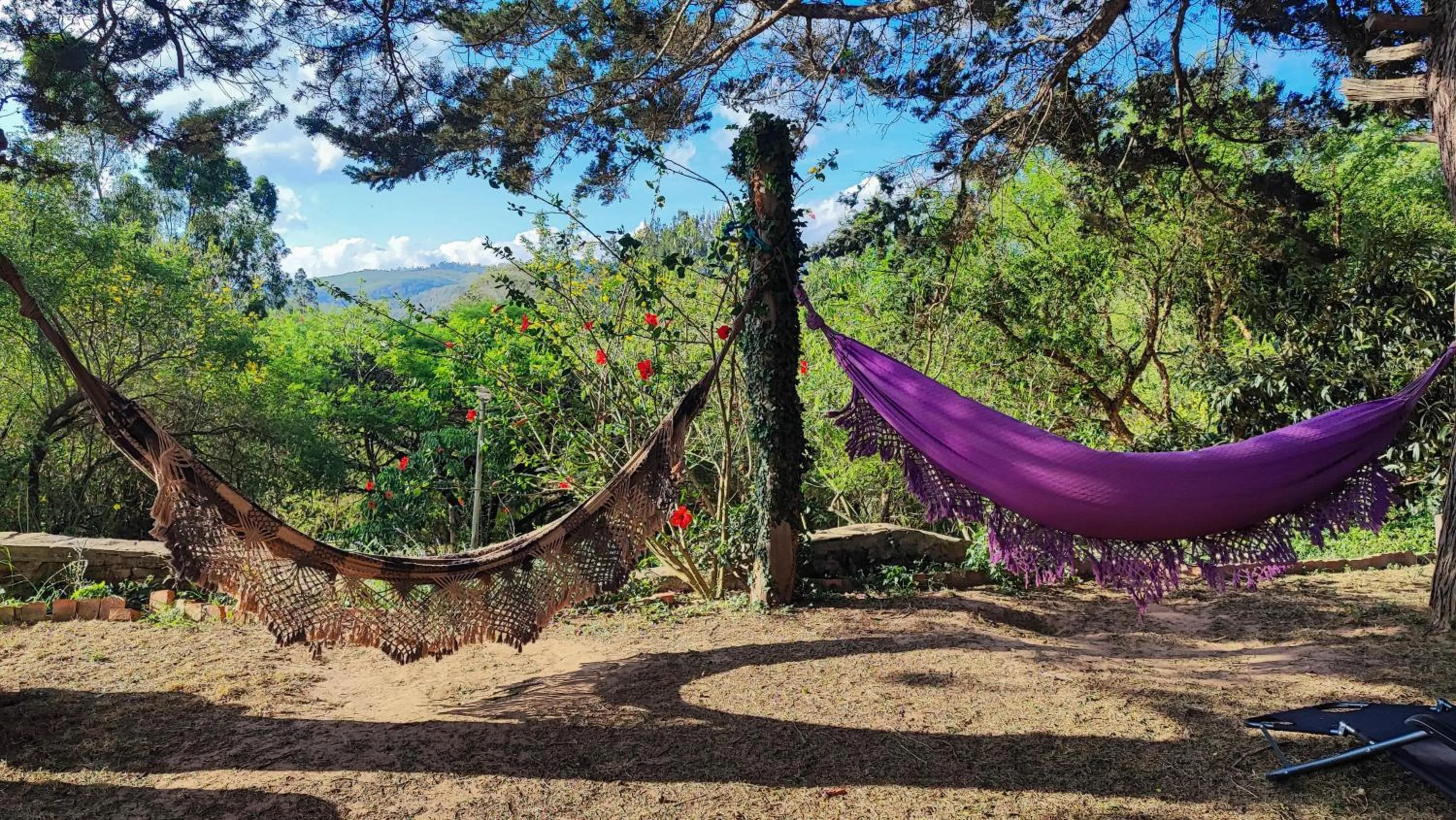 Garden in YVY CASA HOTEL