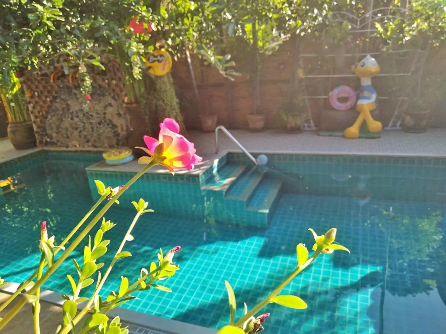 Swimming pool in De Wiang Kum Kam