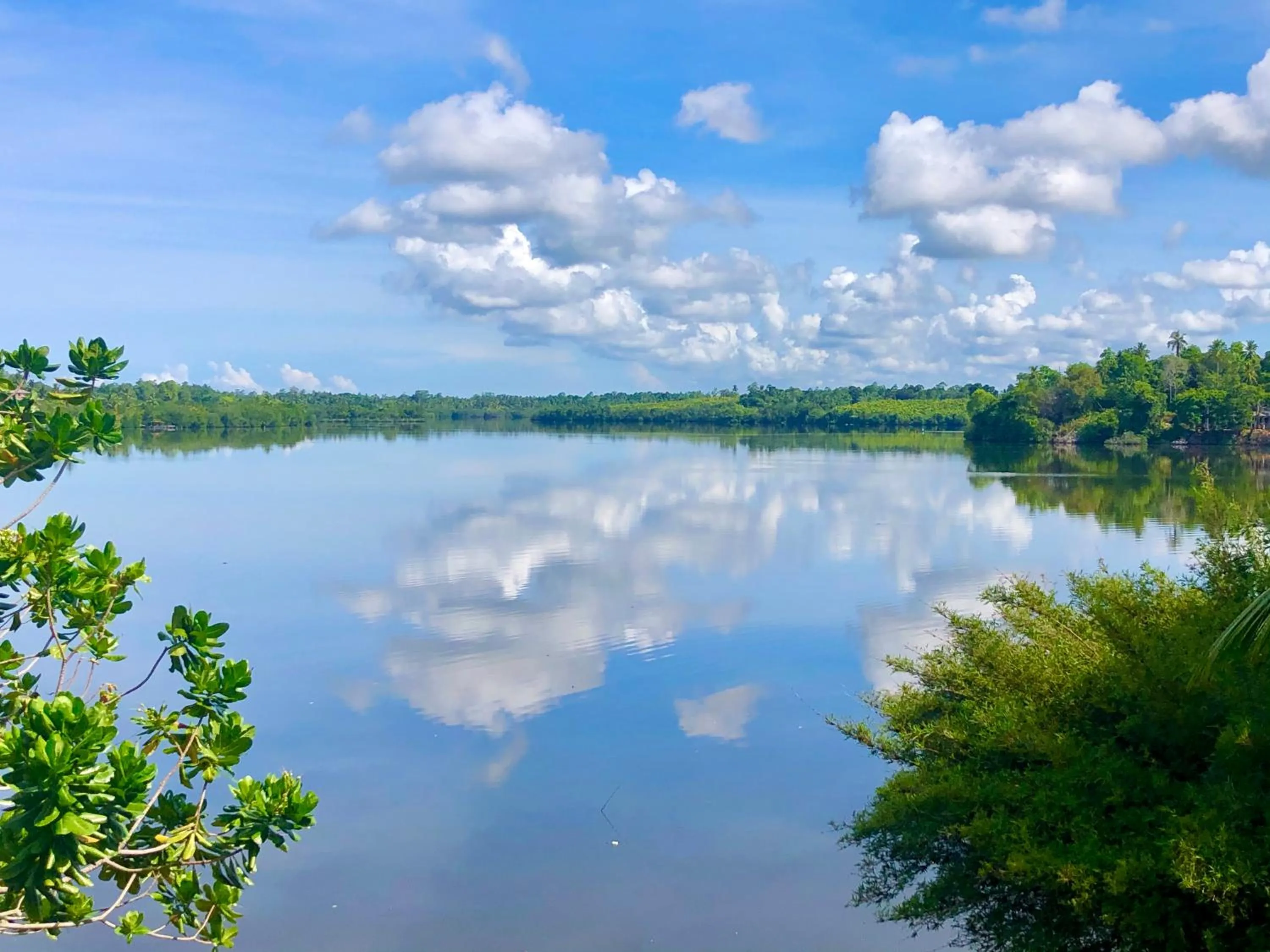 View (from property/room) in Kalla Bongo Lake Resort