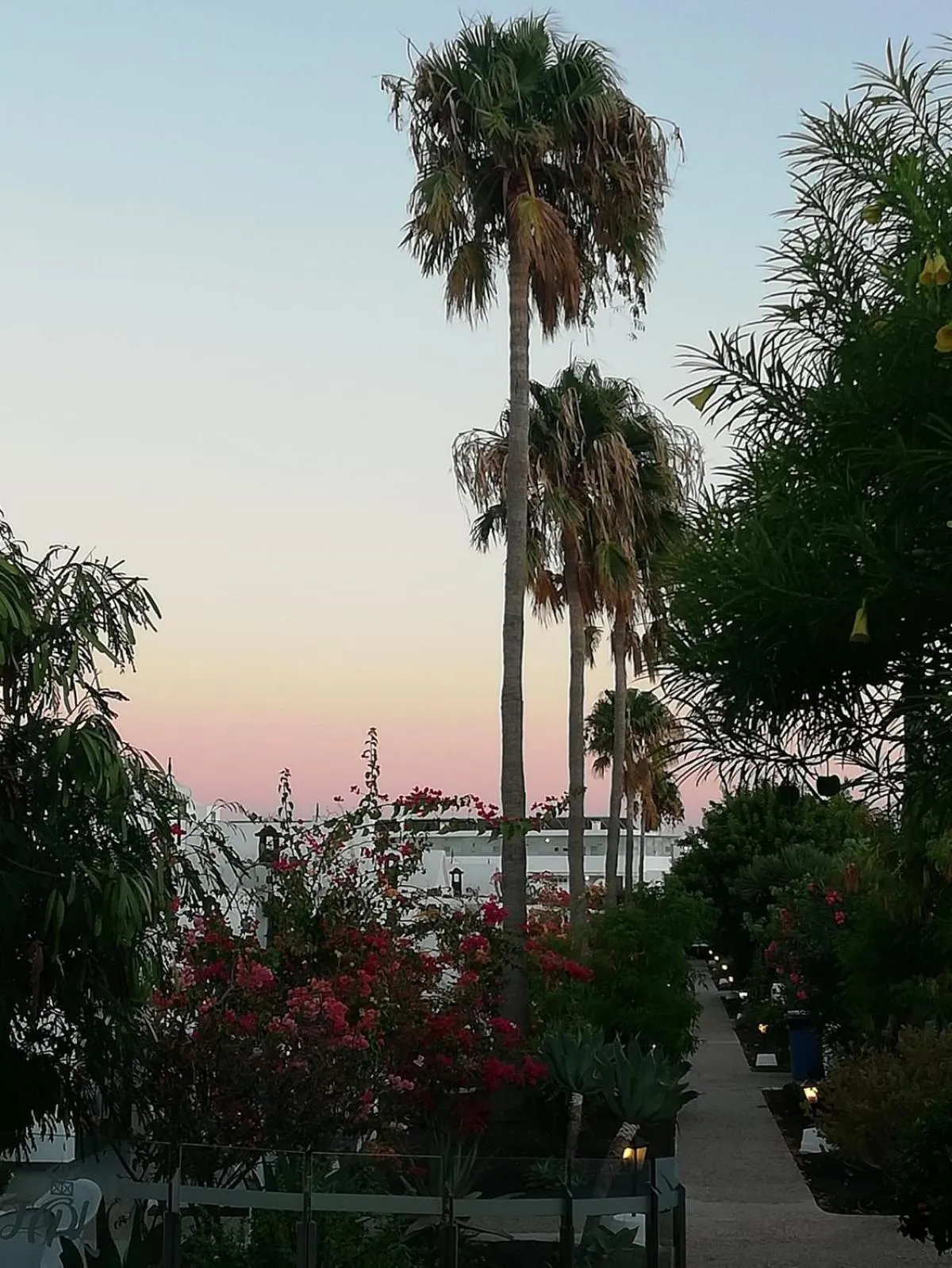 Sunset in Hyde Park Lane Villas