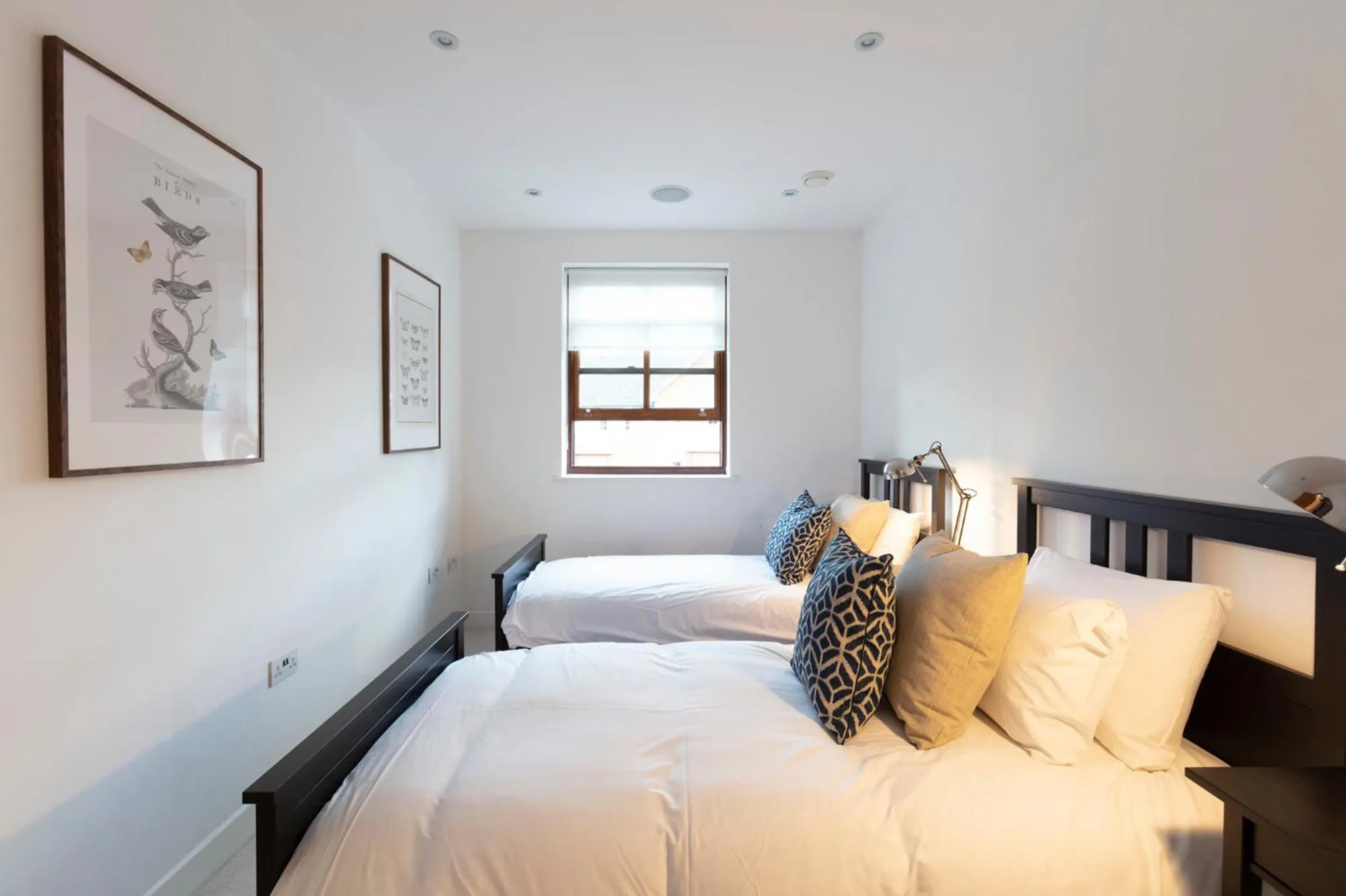 Bed in Hampden Apartments - The Henry