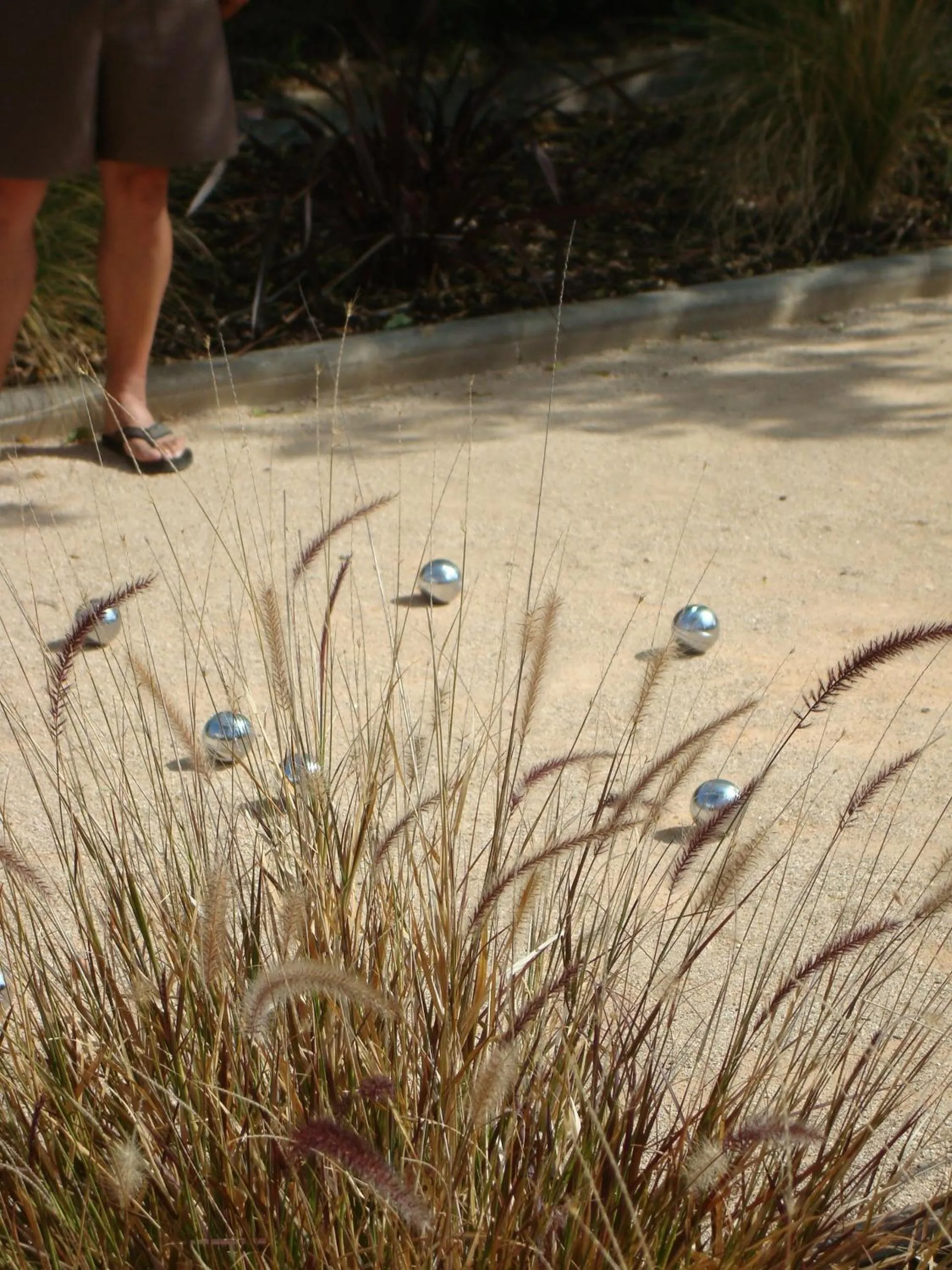 Activities in Casa Bela Moura, Boutique Hotel & Wine