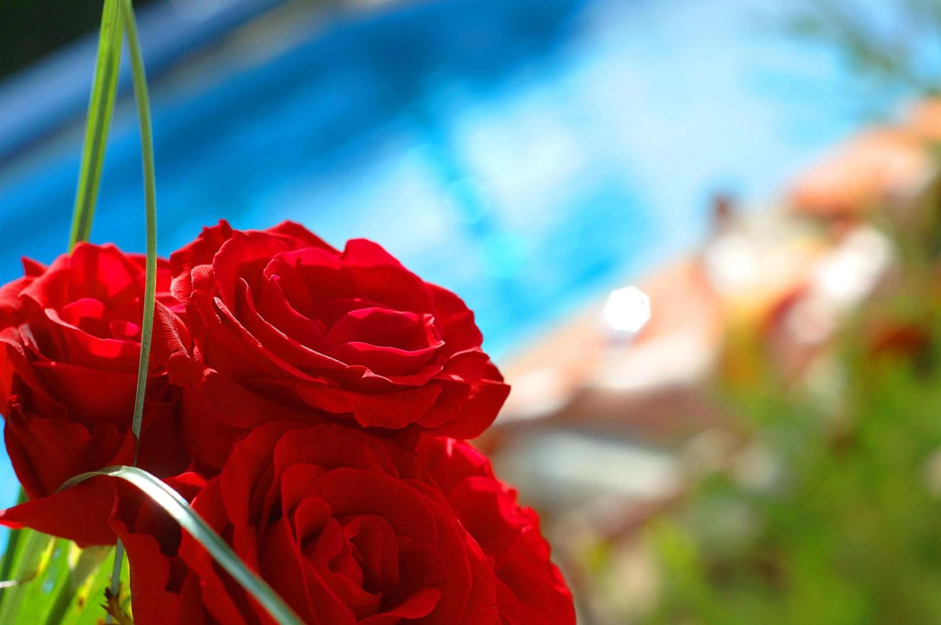 Decorative detail in Casa Bela Moura, Boutique Hotel & Wine