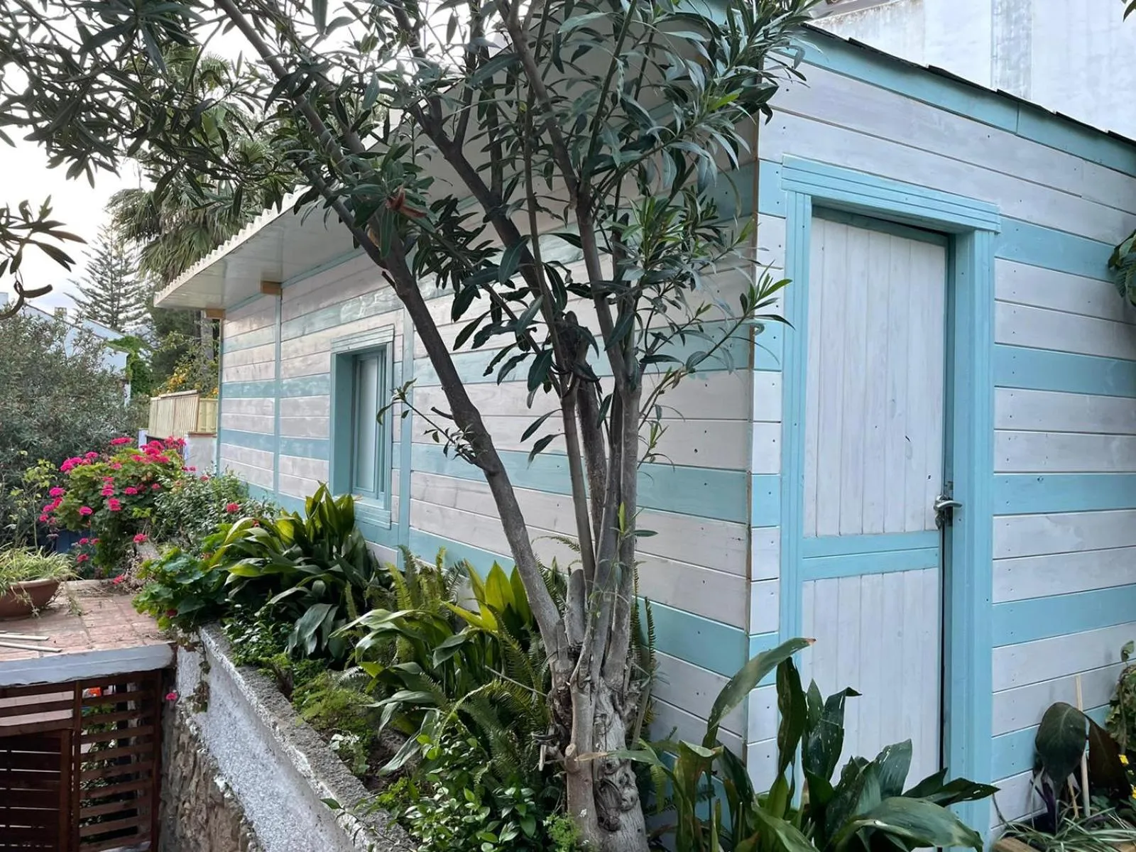 Property building in Villa Palma