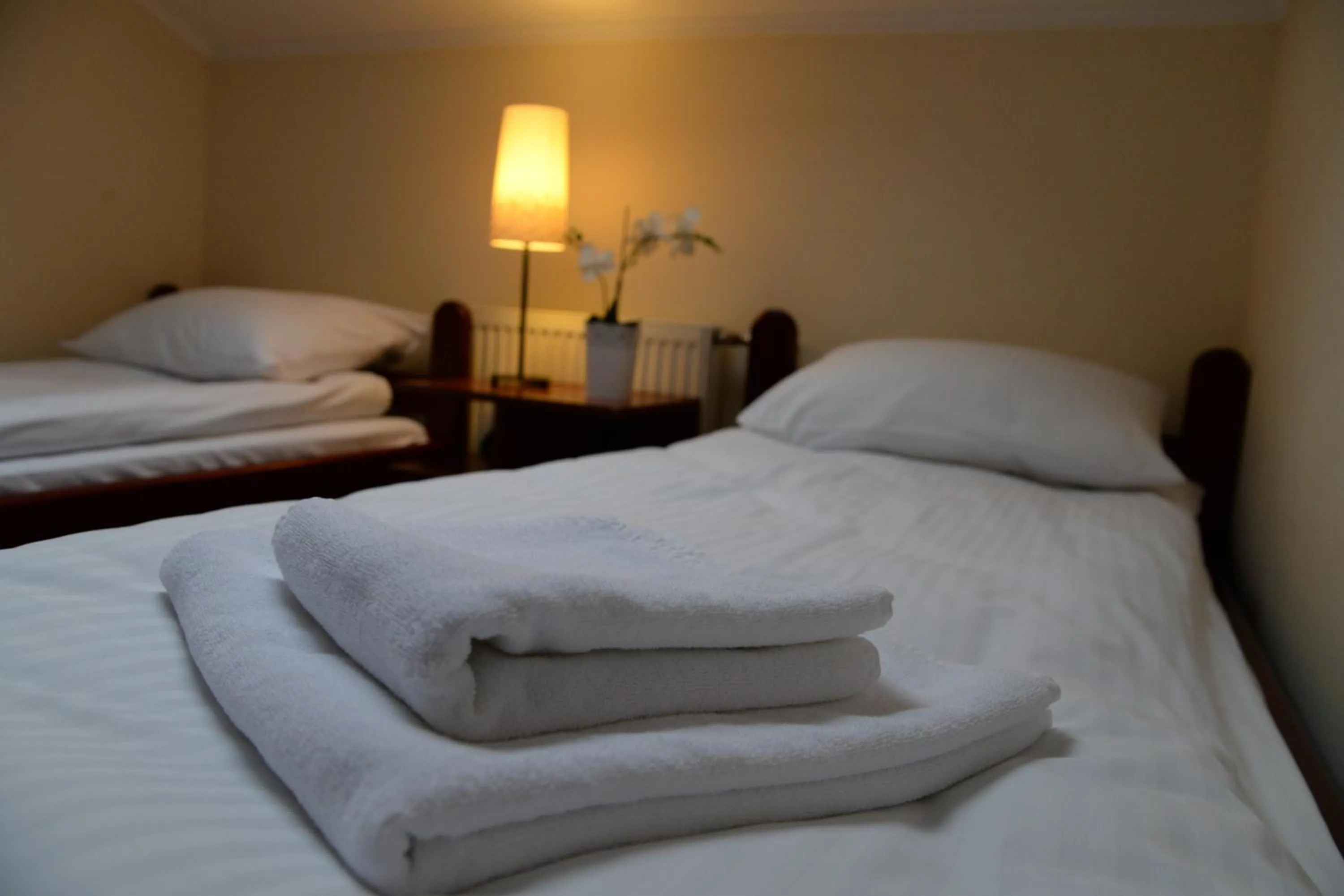 Photo of the whole room, Bed in Zajazd Pod Gwiazdami