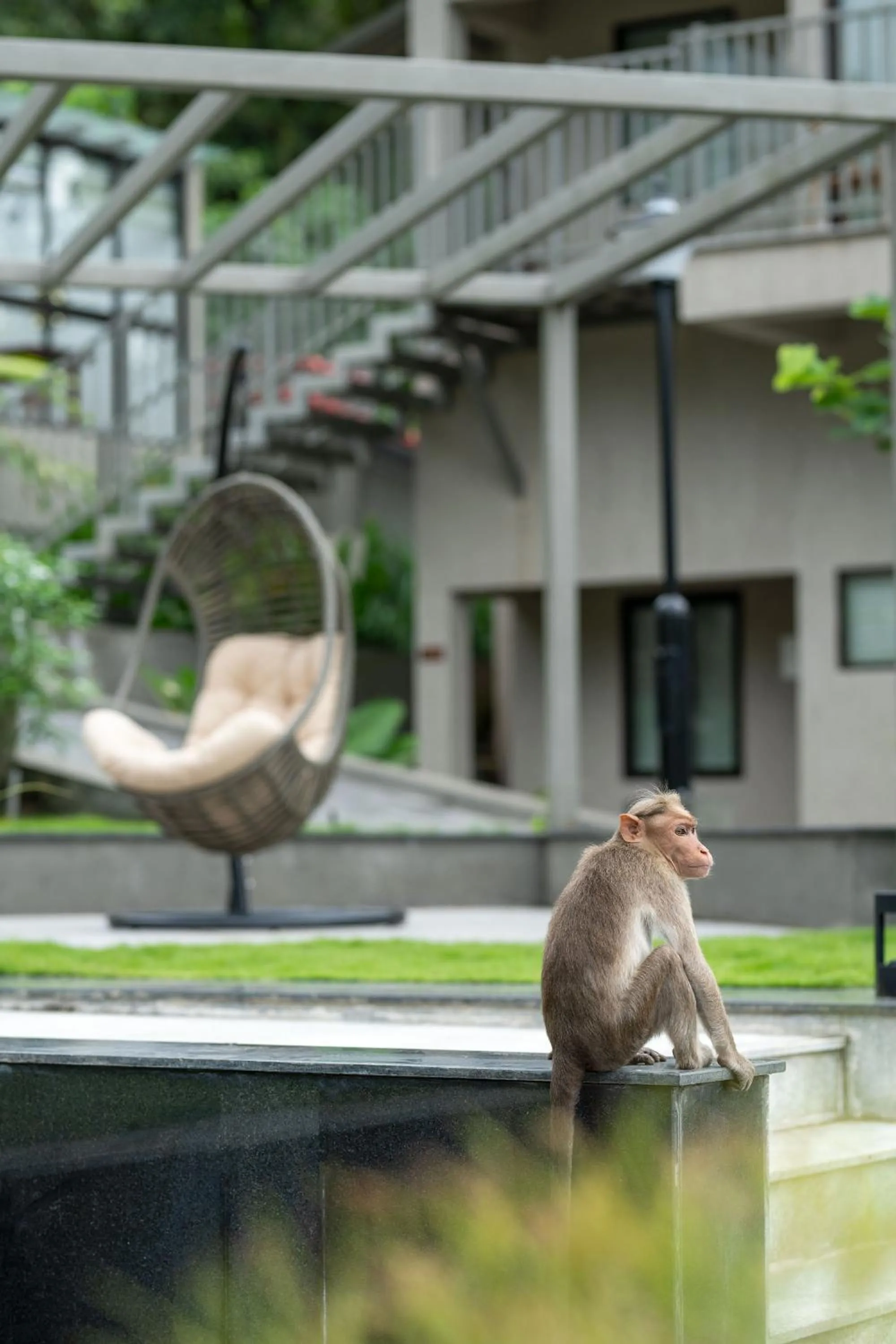 Facade/entrance in Niraamaya Retreats Samroha Athirappilly