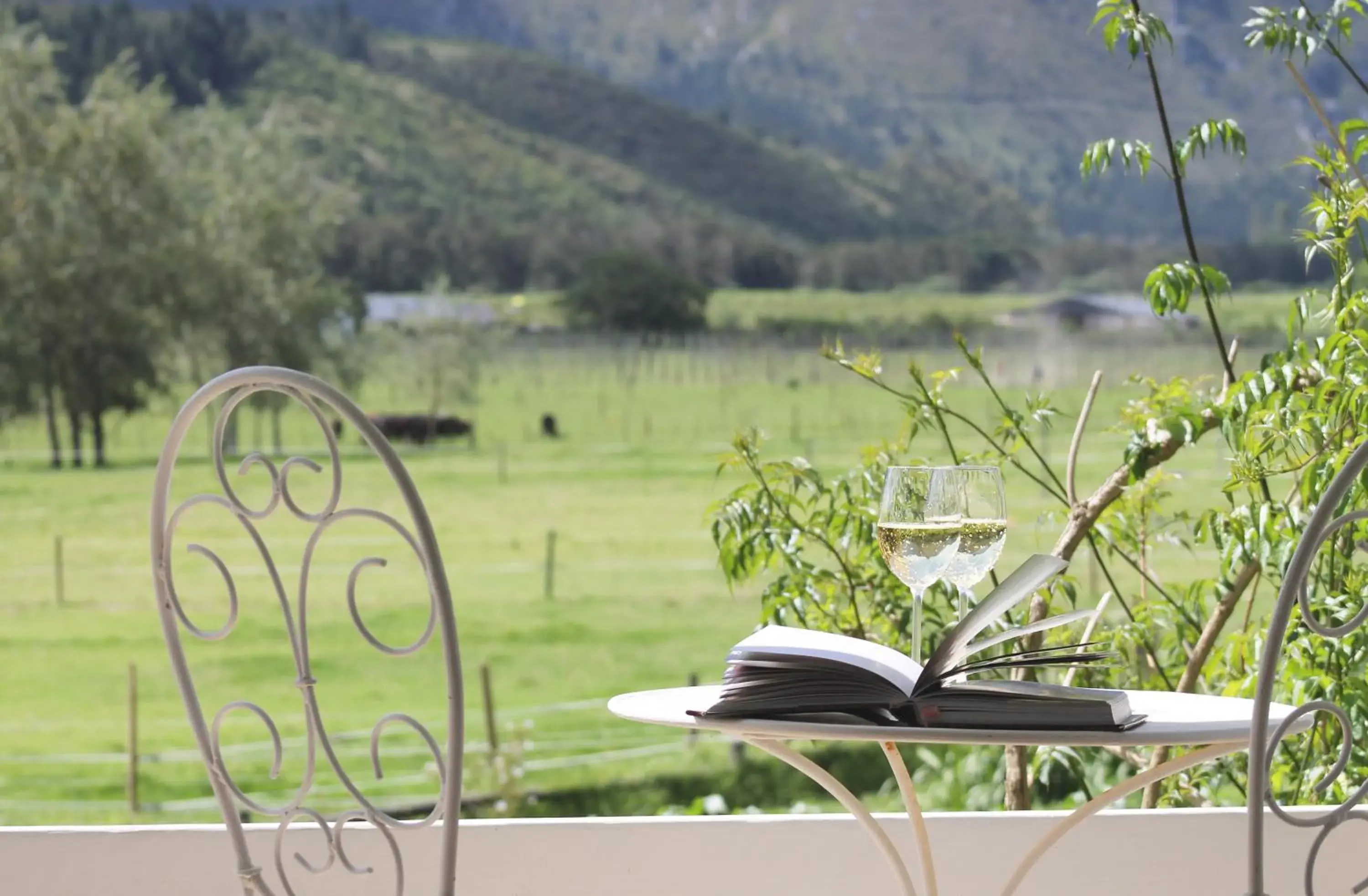 Standard Family Room in Arumvale Country Retreat Standard Family Room in Arumvale Country Retreat