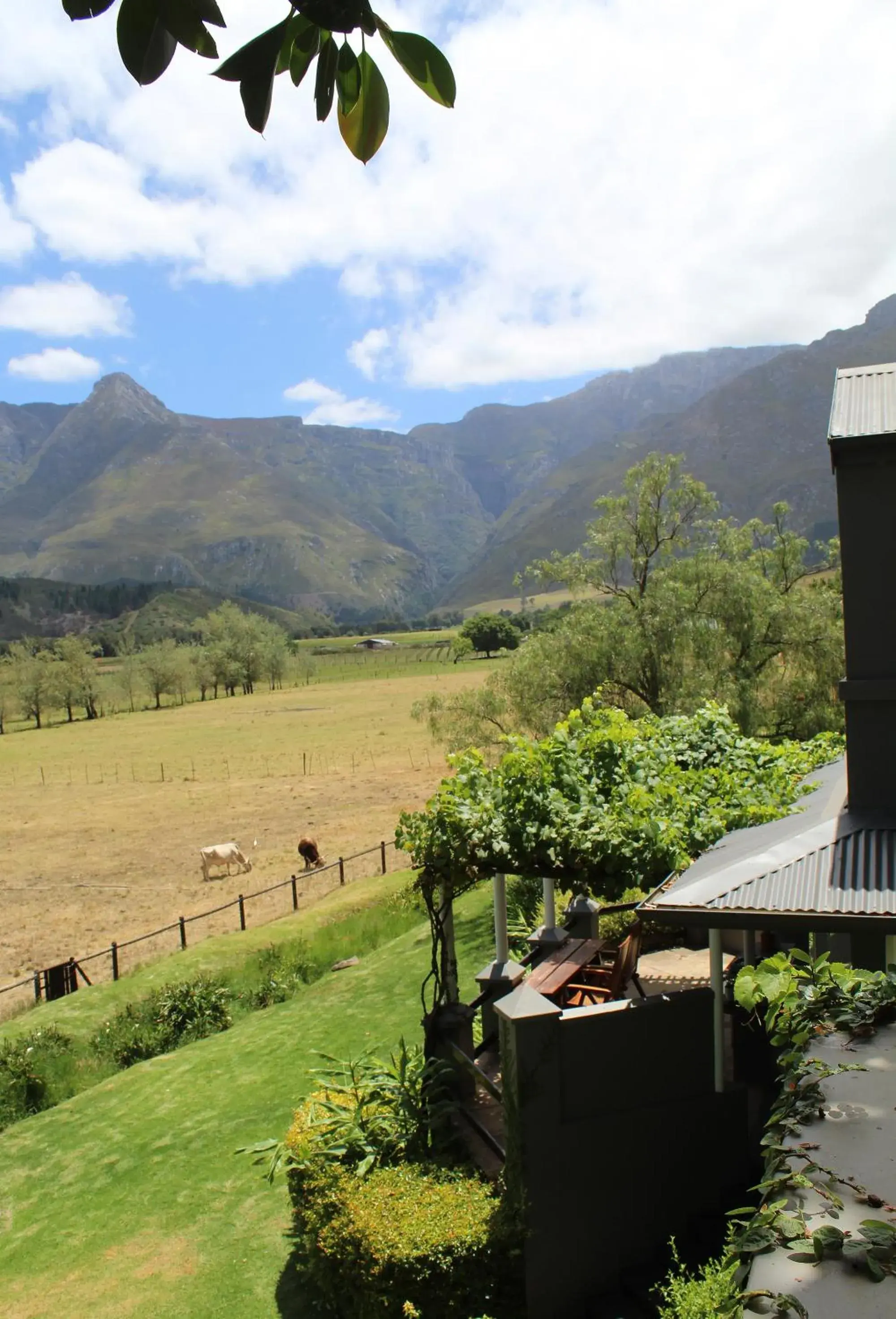 Suite with Mountain View in Arumvale Country Retreat Suite with Mountain View in Arumvale Country Retreat