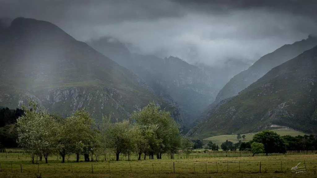 Natural landscape in Arumvale Country Retreat