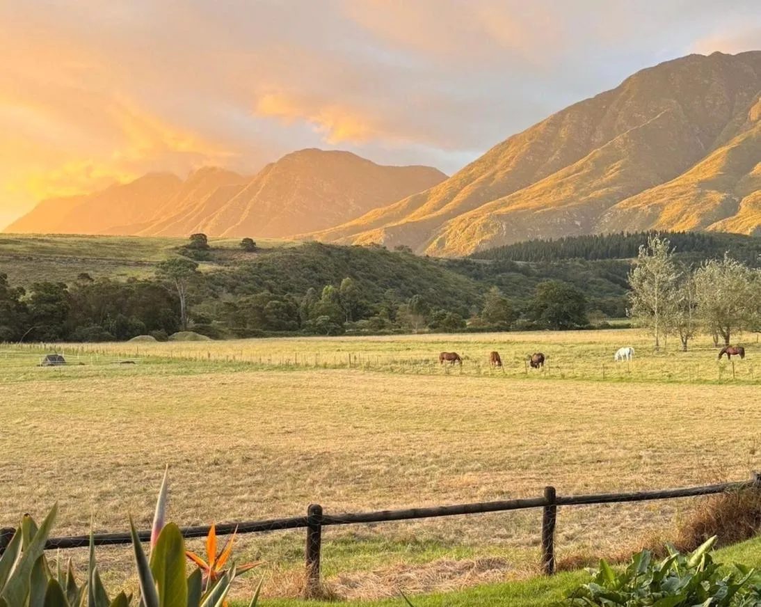 Natural landscape in Arumvale Country Retreat