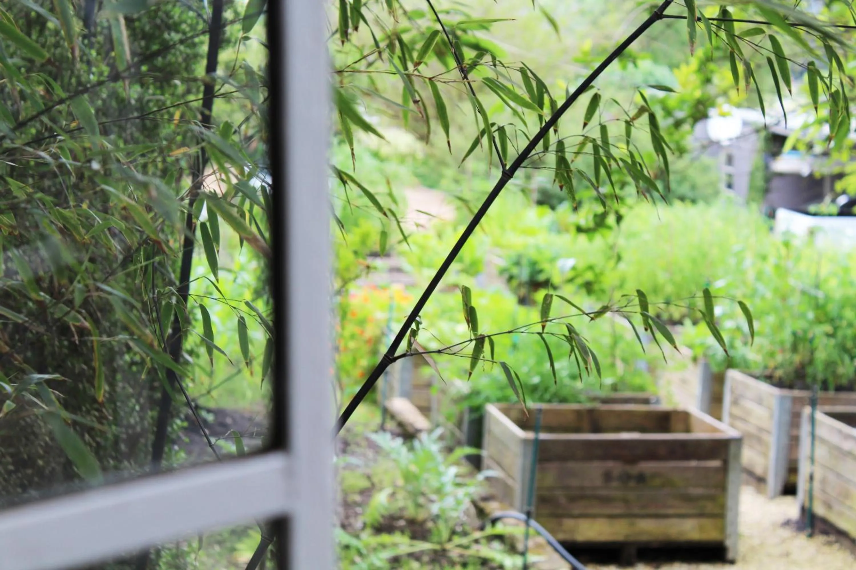 Garden in Arumvale Country Retreat