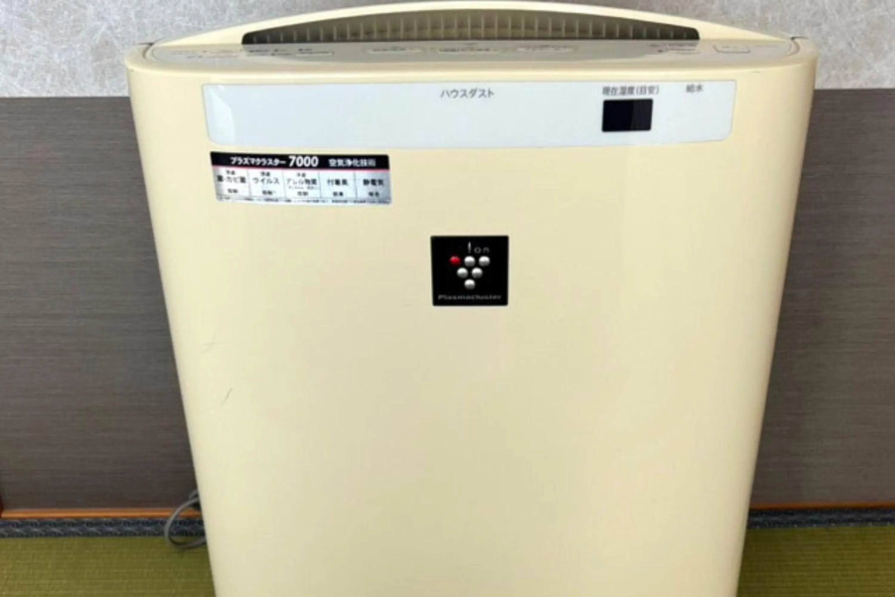 Photo of the whole room in Manpa Resort