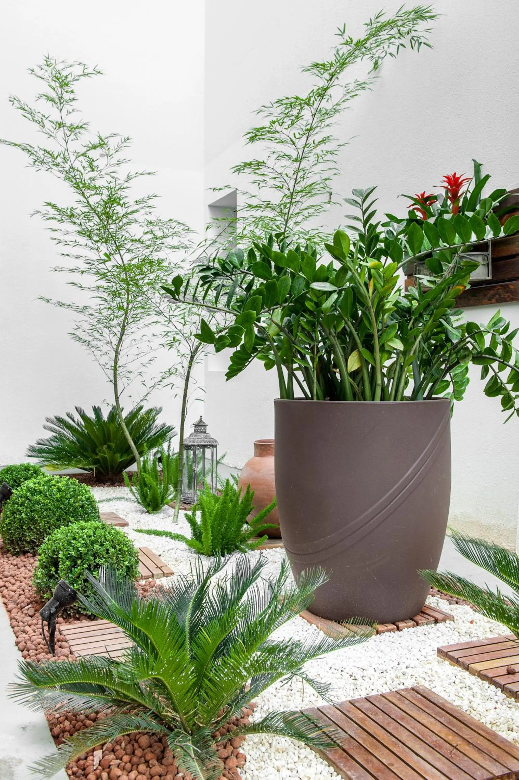 Garden in Araçatuba Plaza Hotel