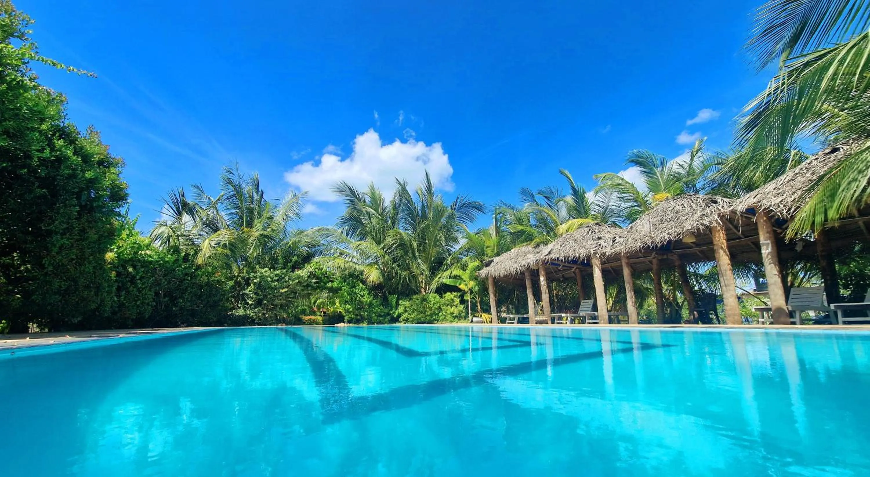 Spring in ITALIAN GUEST