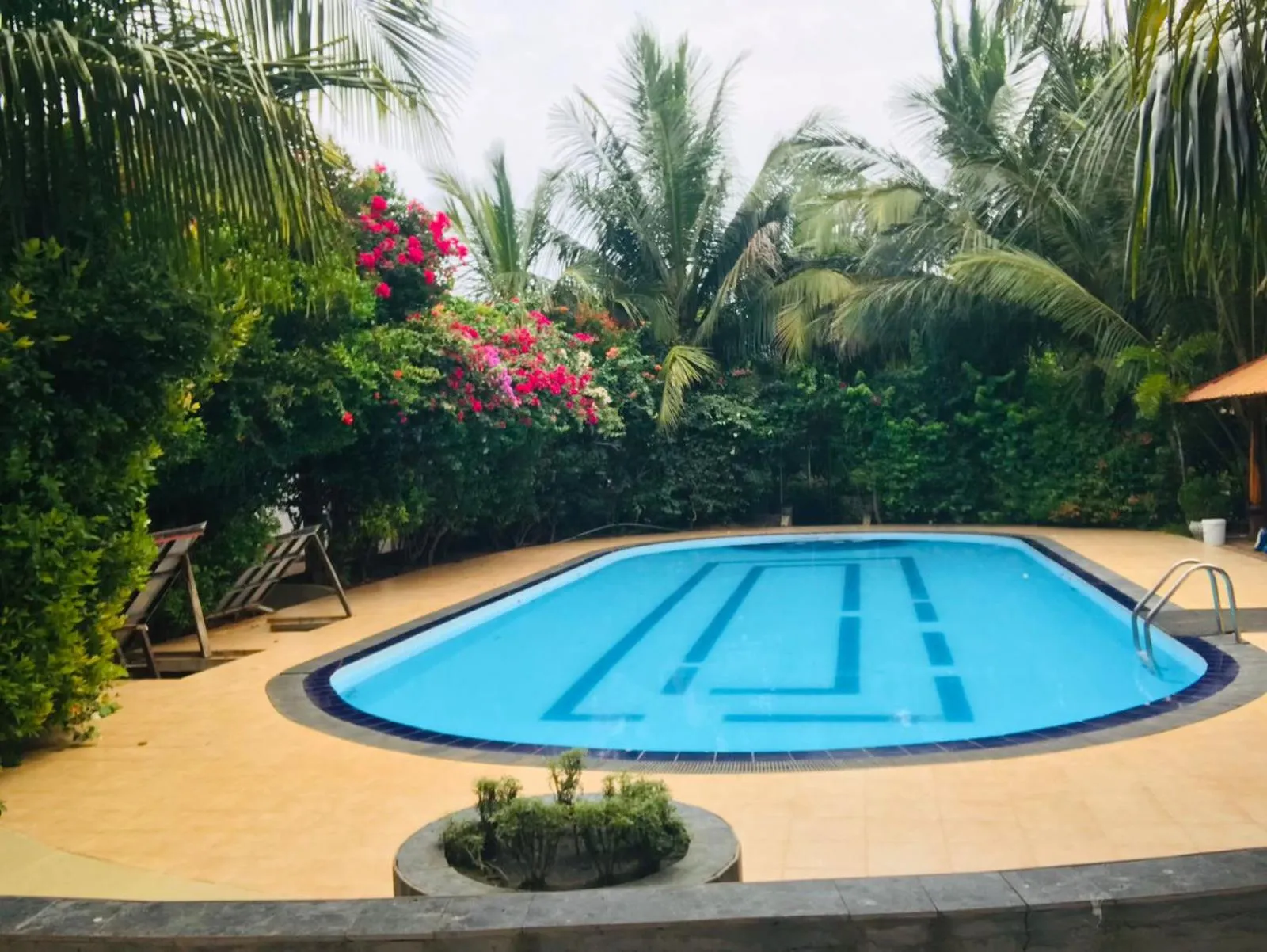 Day in ITALIAN GUEST