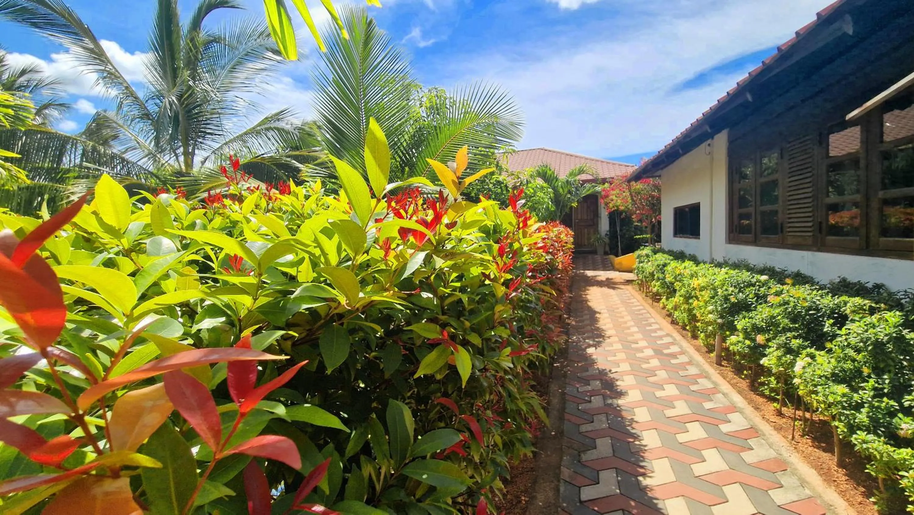 Spring in ITALIAN GUEST