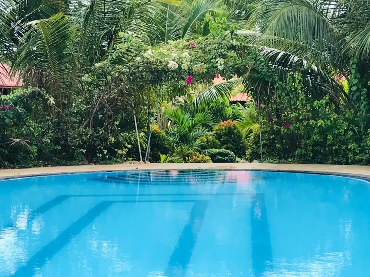 Day in ITALIAN GUEST