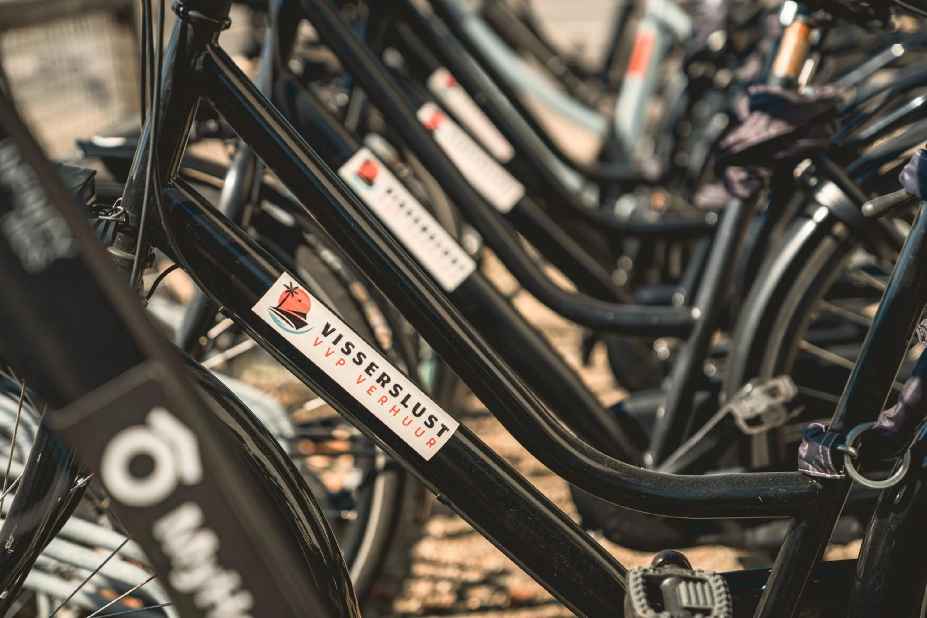 Cycling in VISSERSLUST Rooms, Apartments and Houseboats