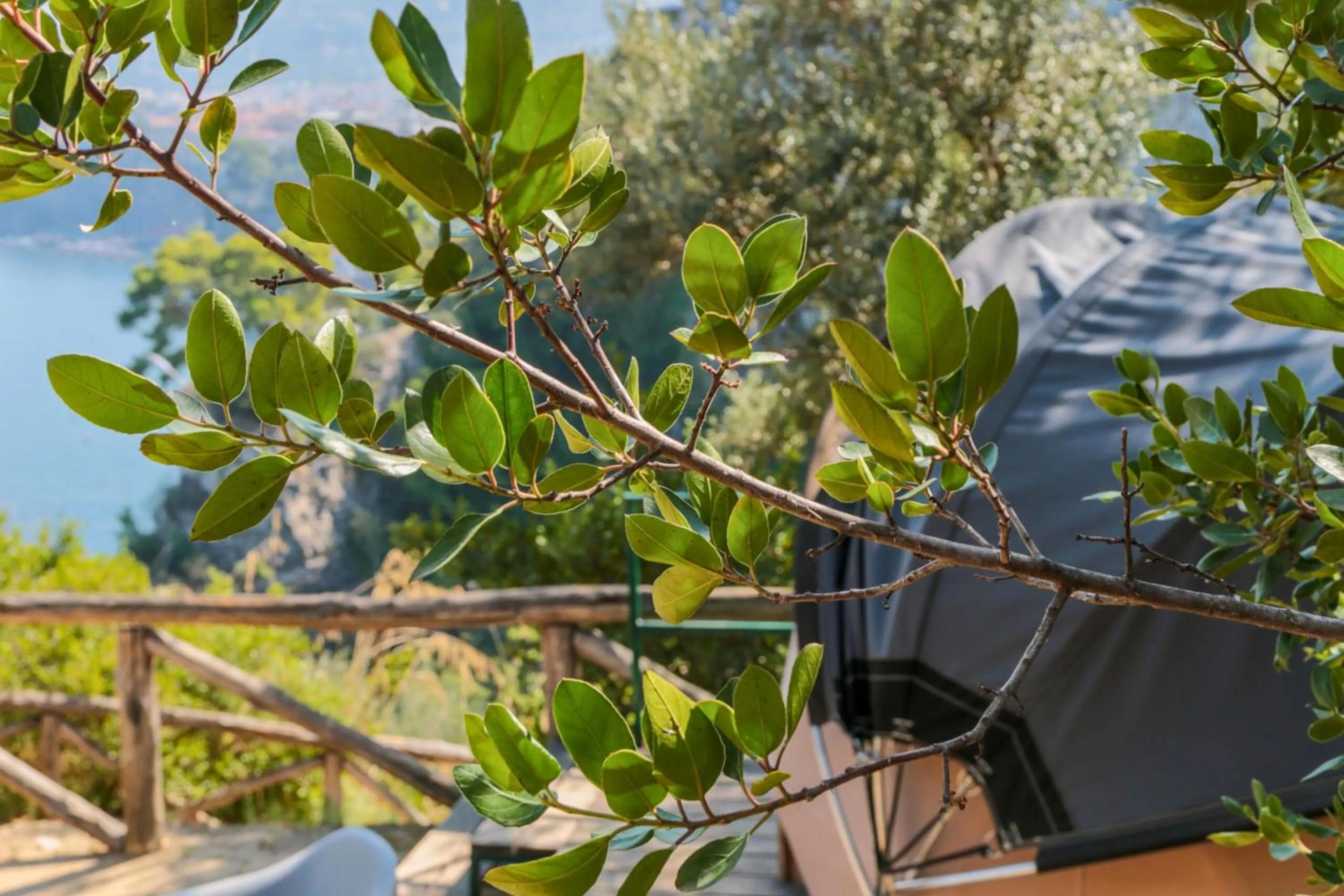 View (from property/room) in Hostel & Glamping Santa Fortunata