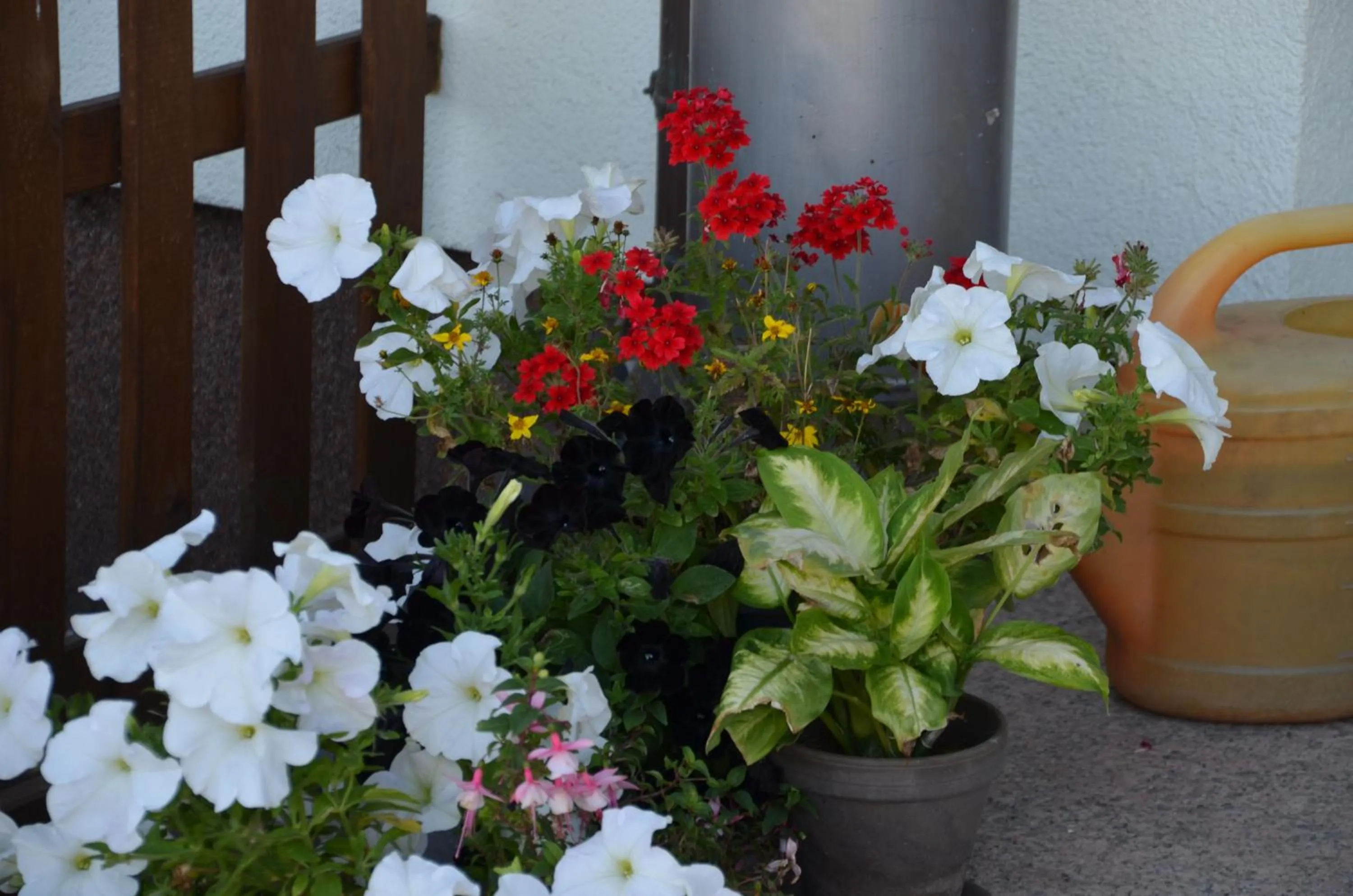 Balcony/Terrace in Hotel zur Brücke