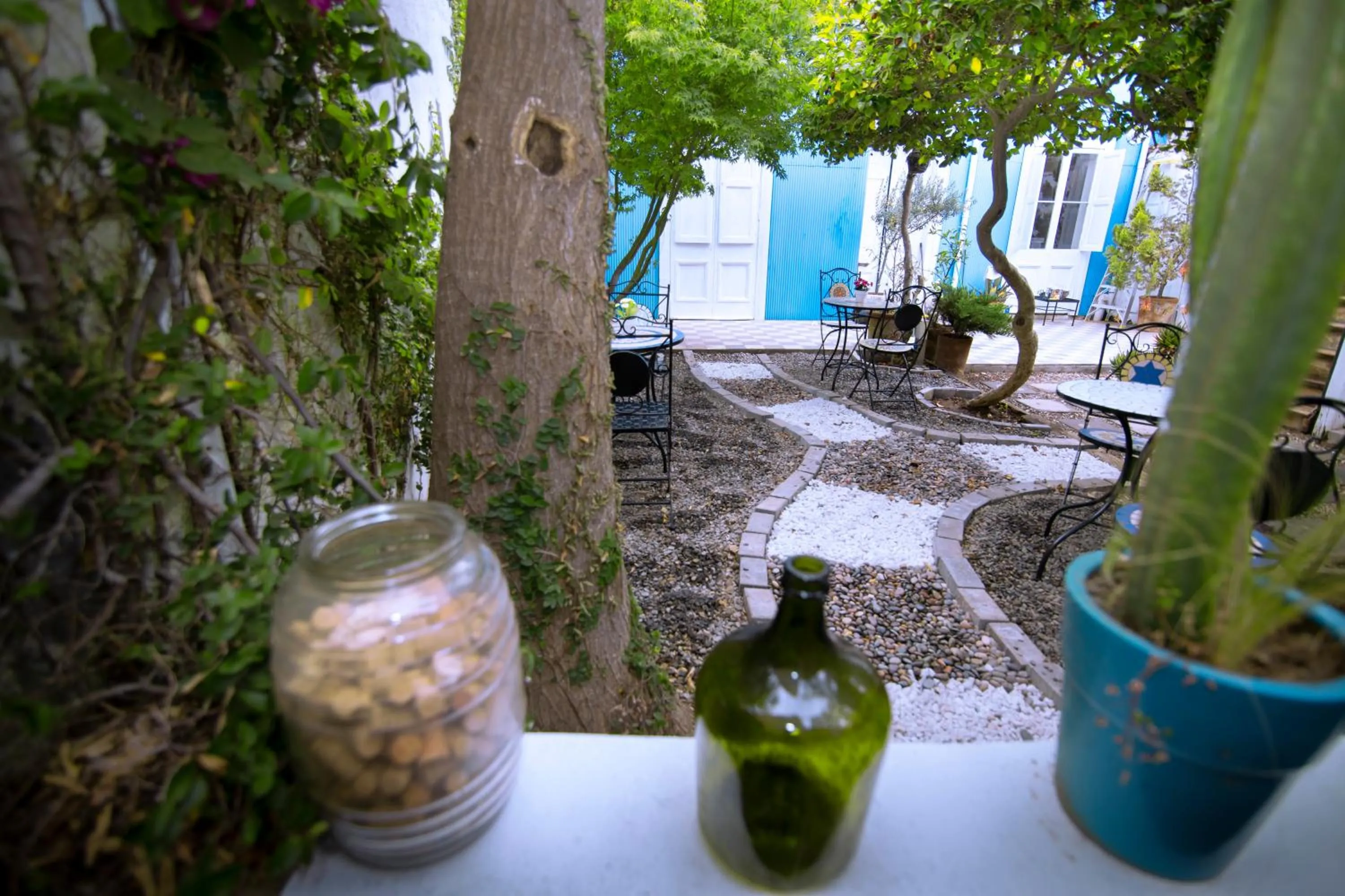 Garden in New Voga Hotel Boutique