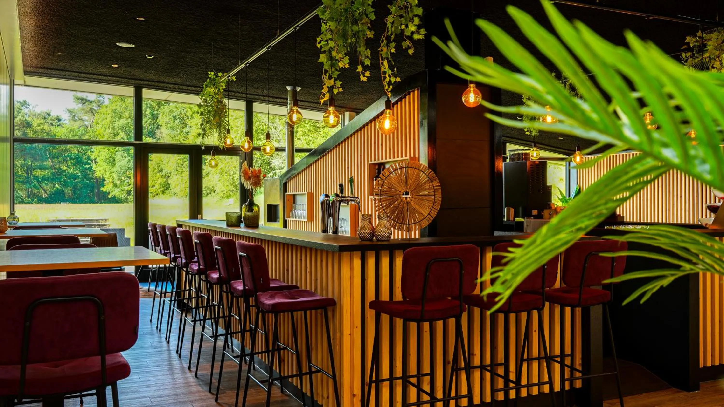 Lounge or bar in Boshotel Overberg