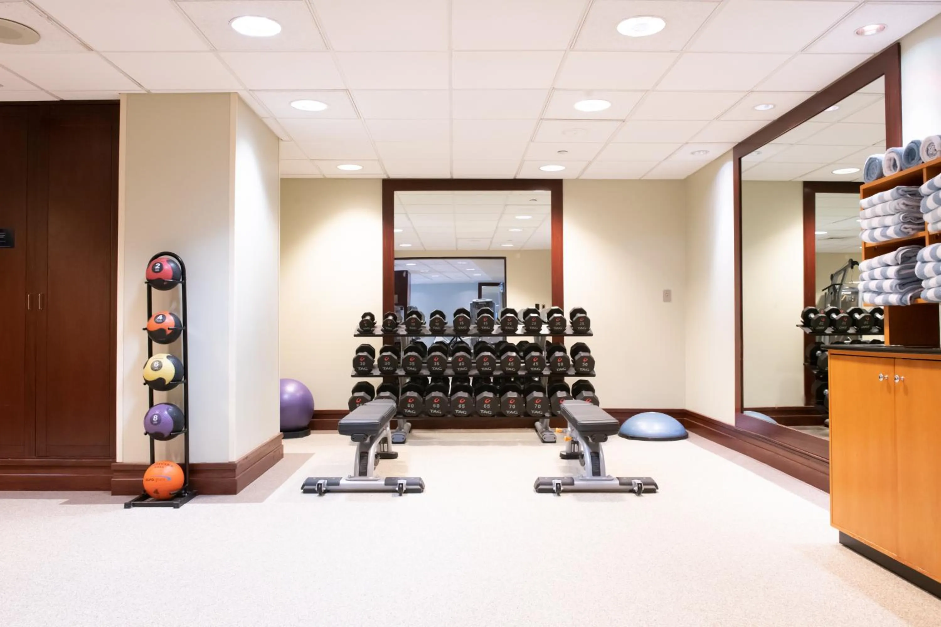 Fitness centre/facilities in Hilton Lac-Leamy