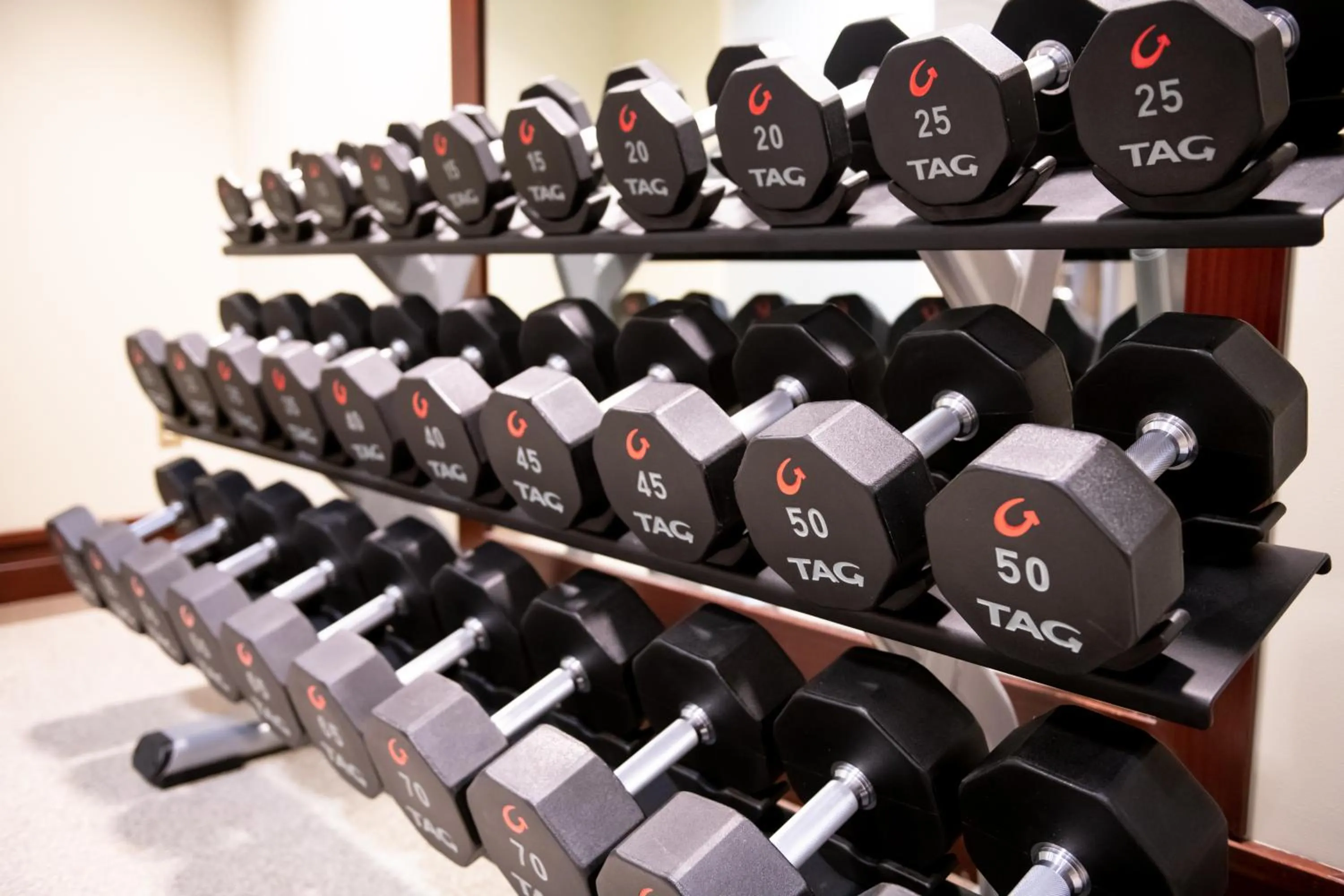 Fitness centre/facilities in Hilton Lac-Leamy