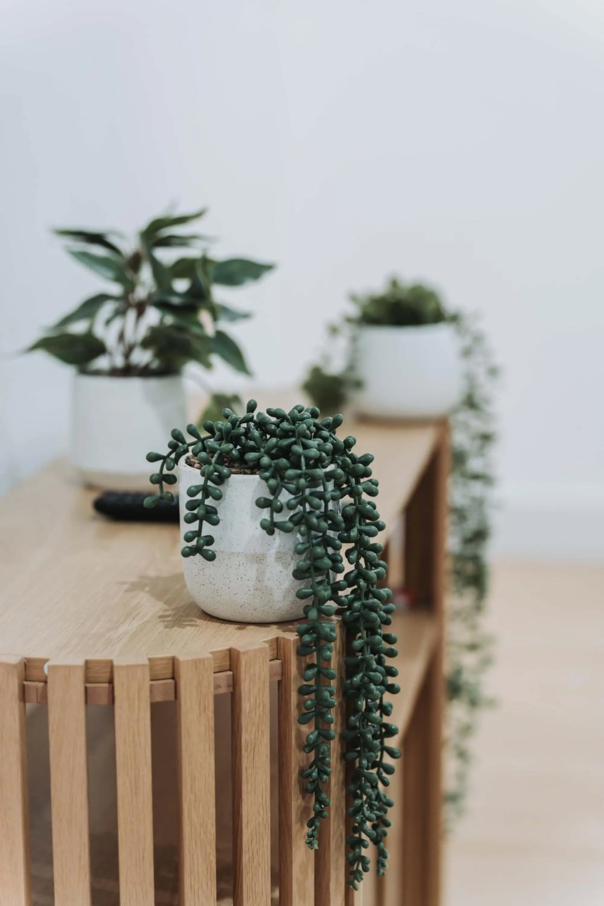 Country 2 Coast Motor Inn Coffs Harbour