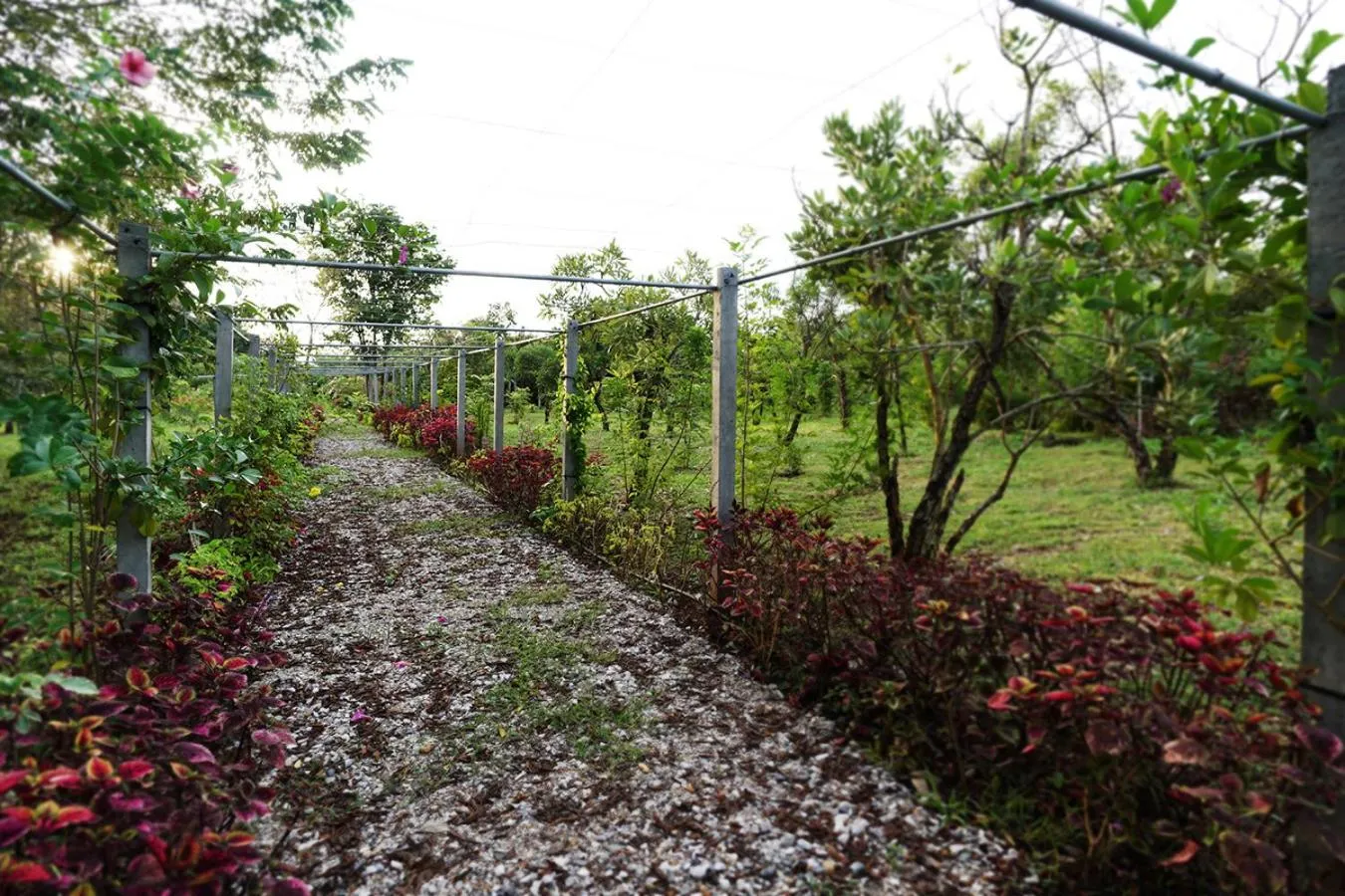 Garden in Hug Jang Loei Garden & Resort